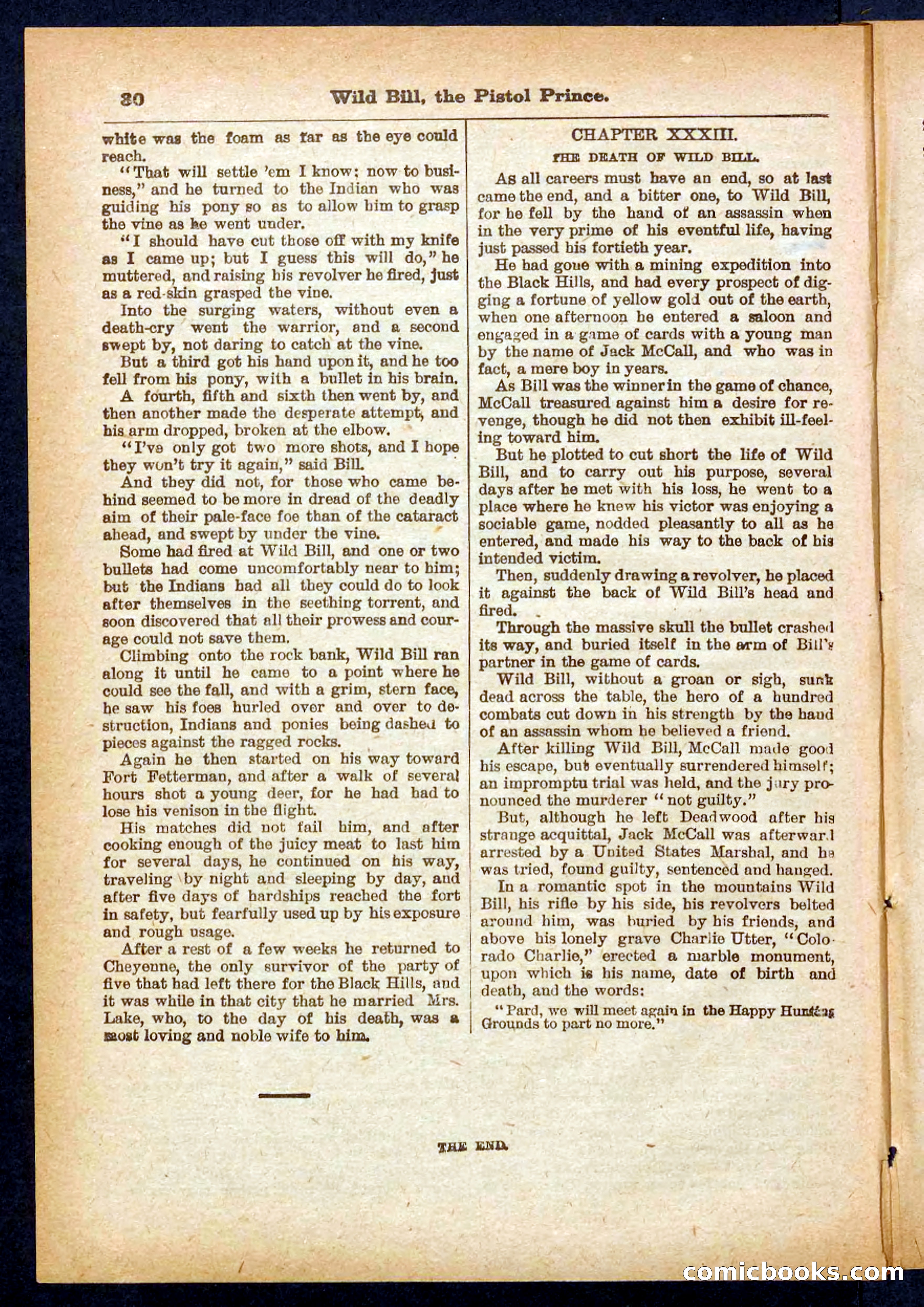 Beadle's Pocket Library No. 383 — page 30 of 32