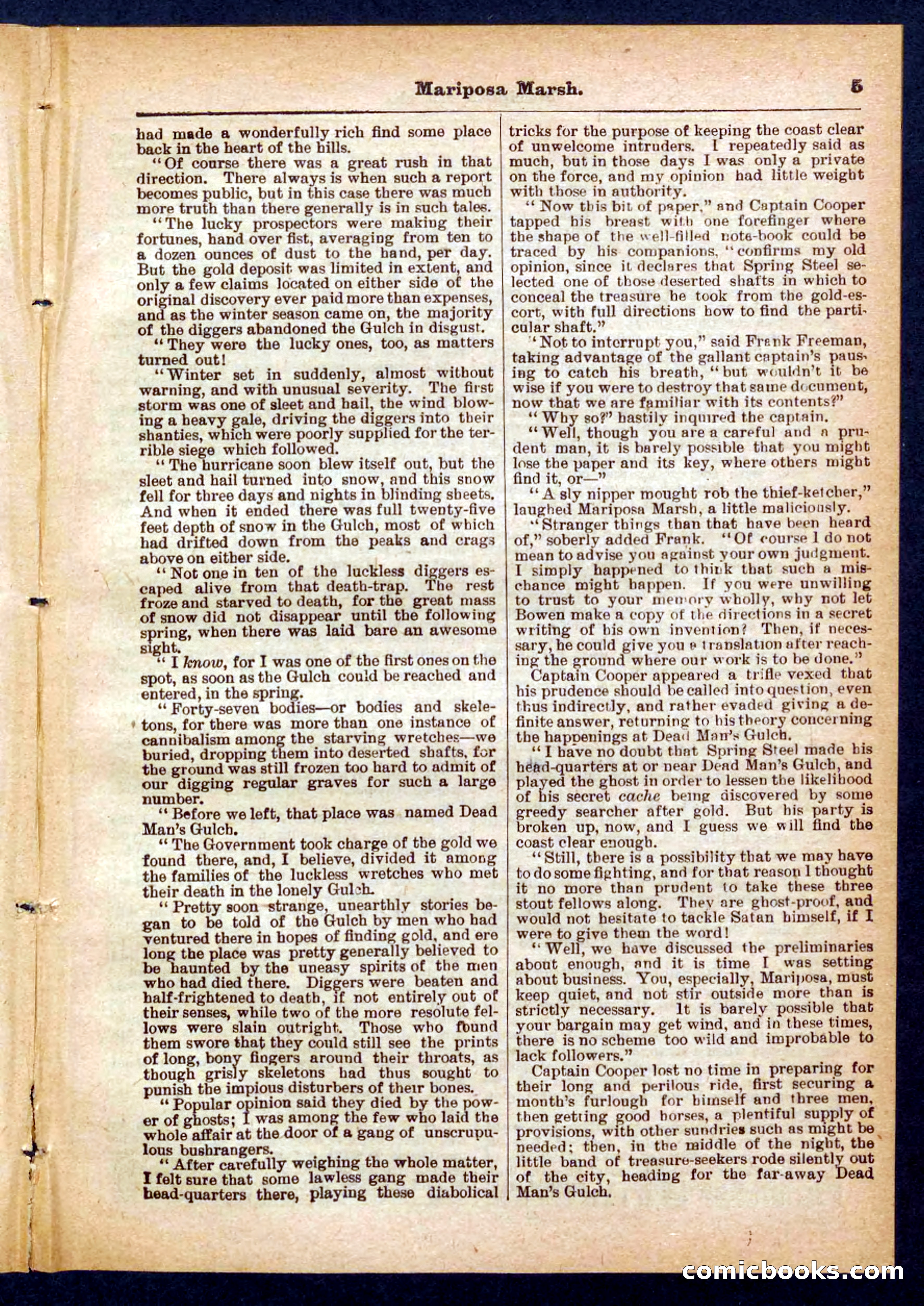 Beadle's Pocket Library No. 384: Brimstone Bill's Booty — page 5 of 32