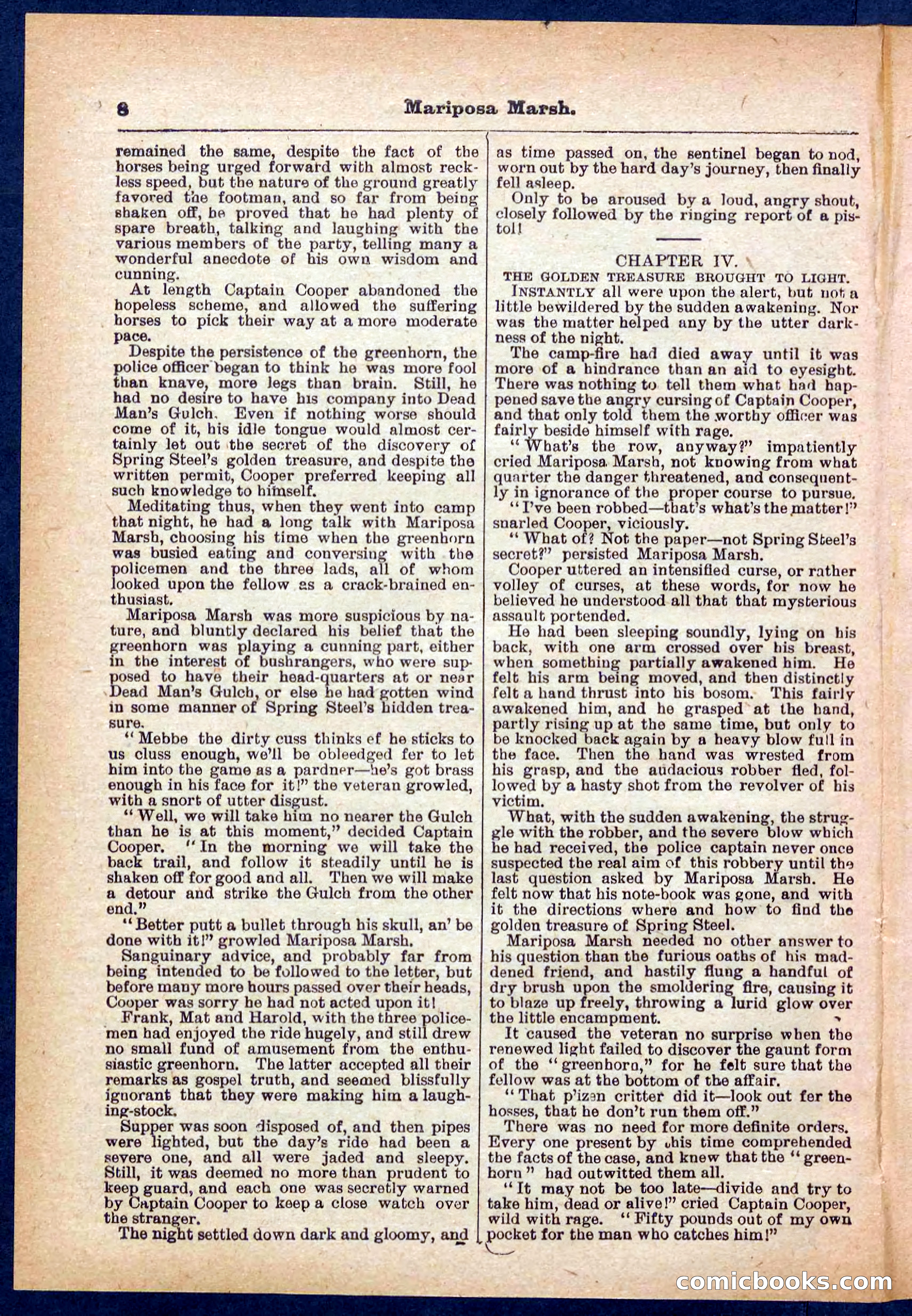 Beadle's Pocket Library No. 384: Brimstone Bill's Booty — page 8 of 32