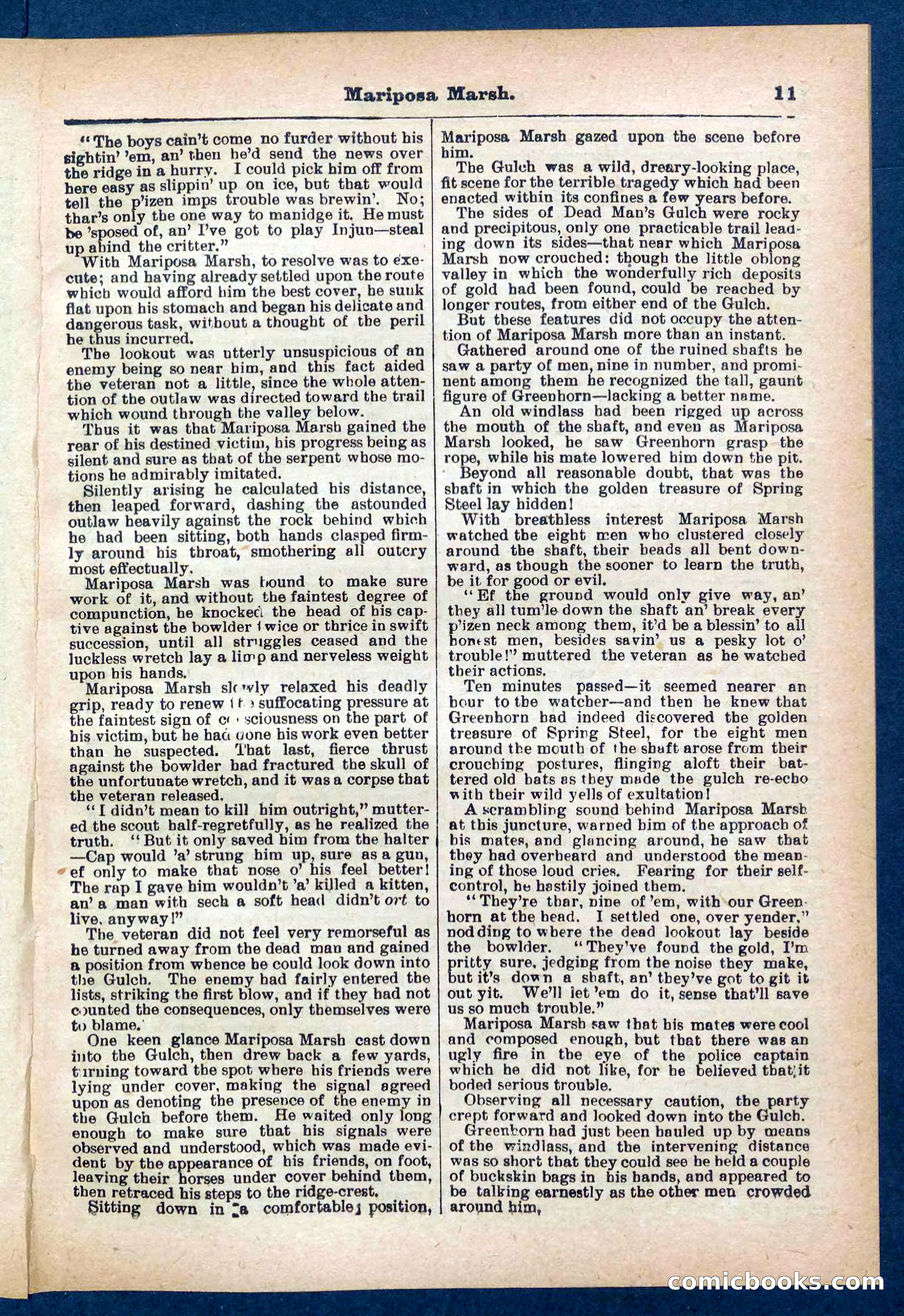 Beadle's Pocket Library No. 384: Brimstone Bill's Booty — page 11 of 32