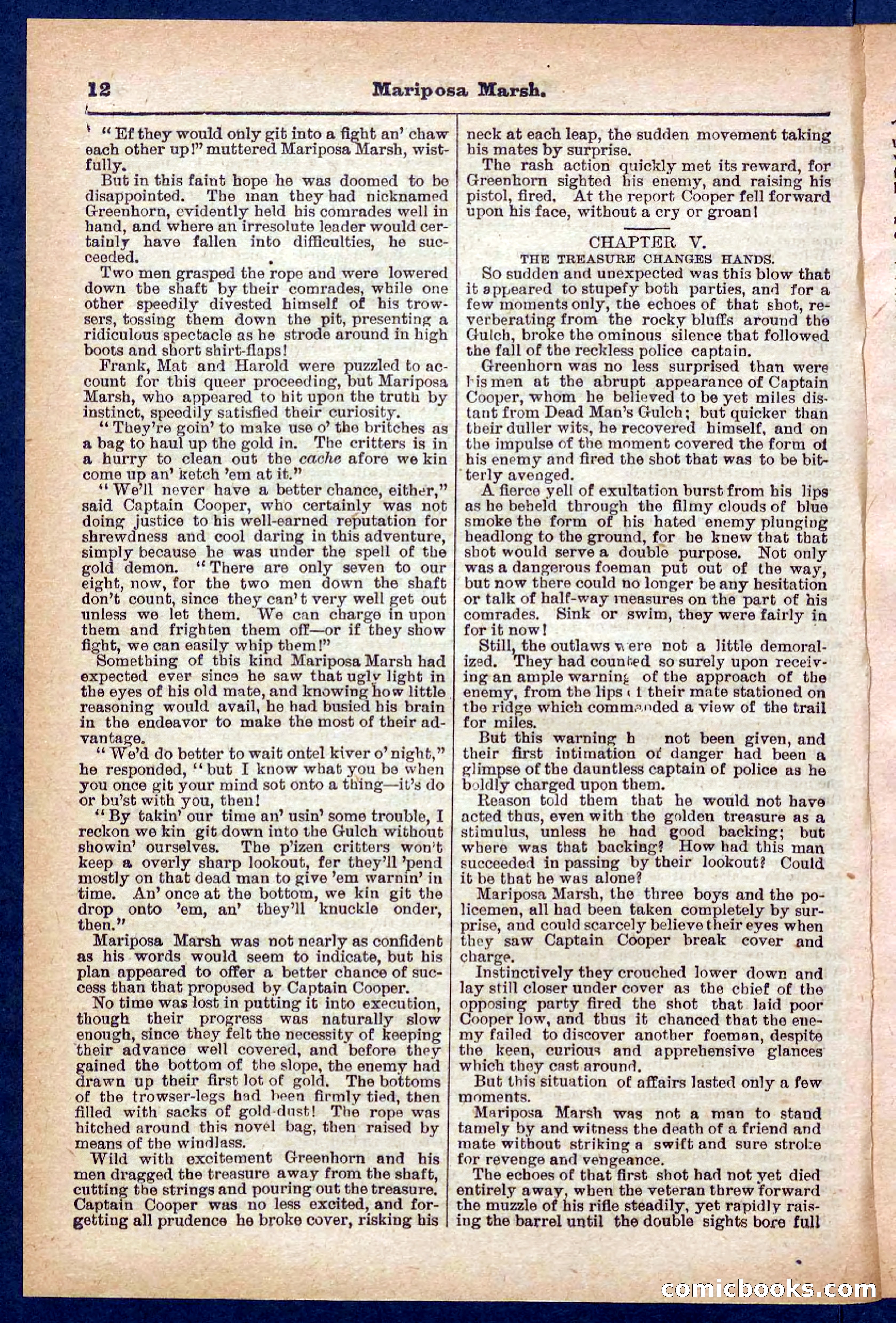 Beadle's Pocket Library No. 384: Brimstone Bill's Booty — page 12 of 32