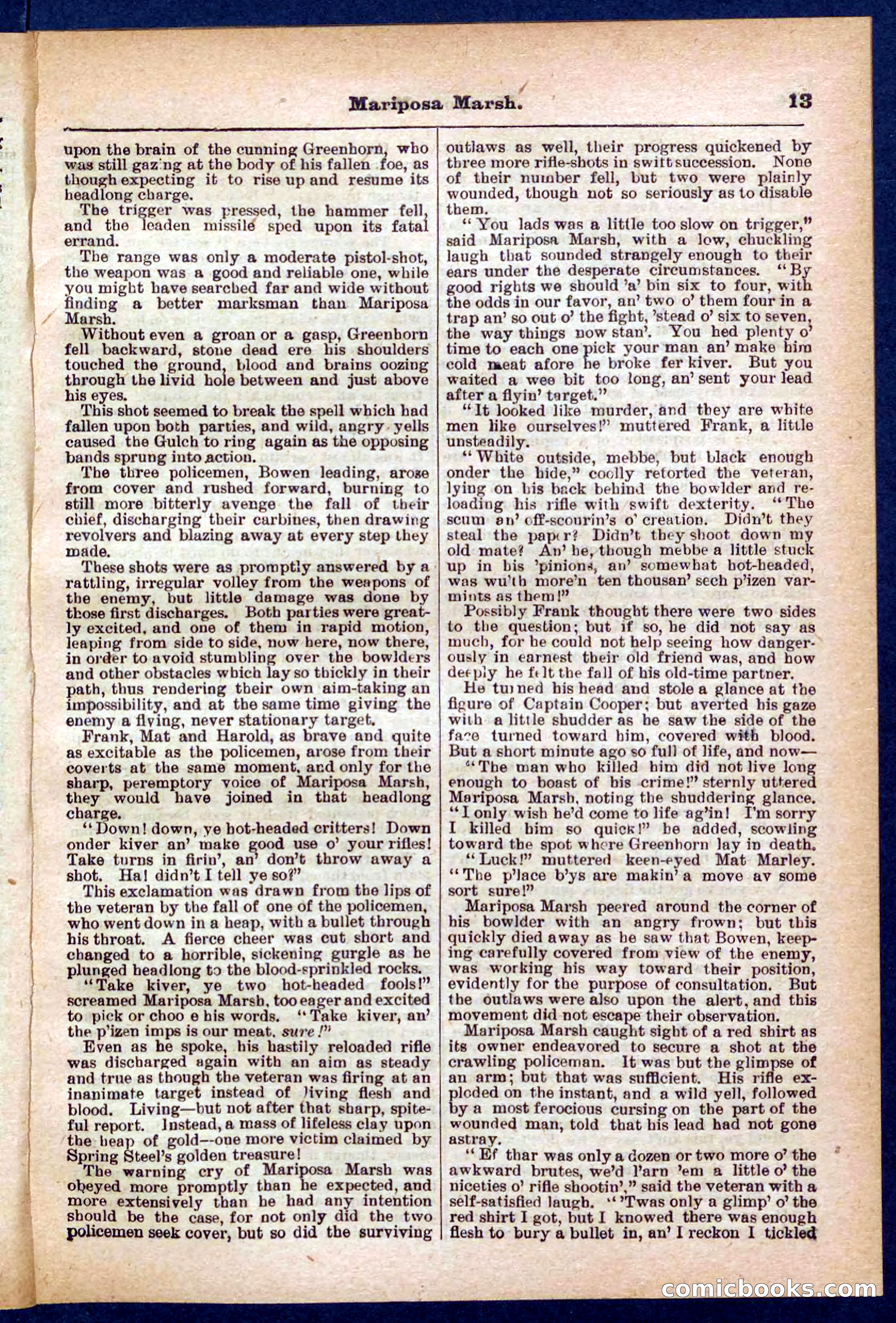 Beadle's Pocket Library No. 384: Brimstone Bill's Booty — page 13 of 32