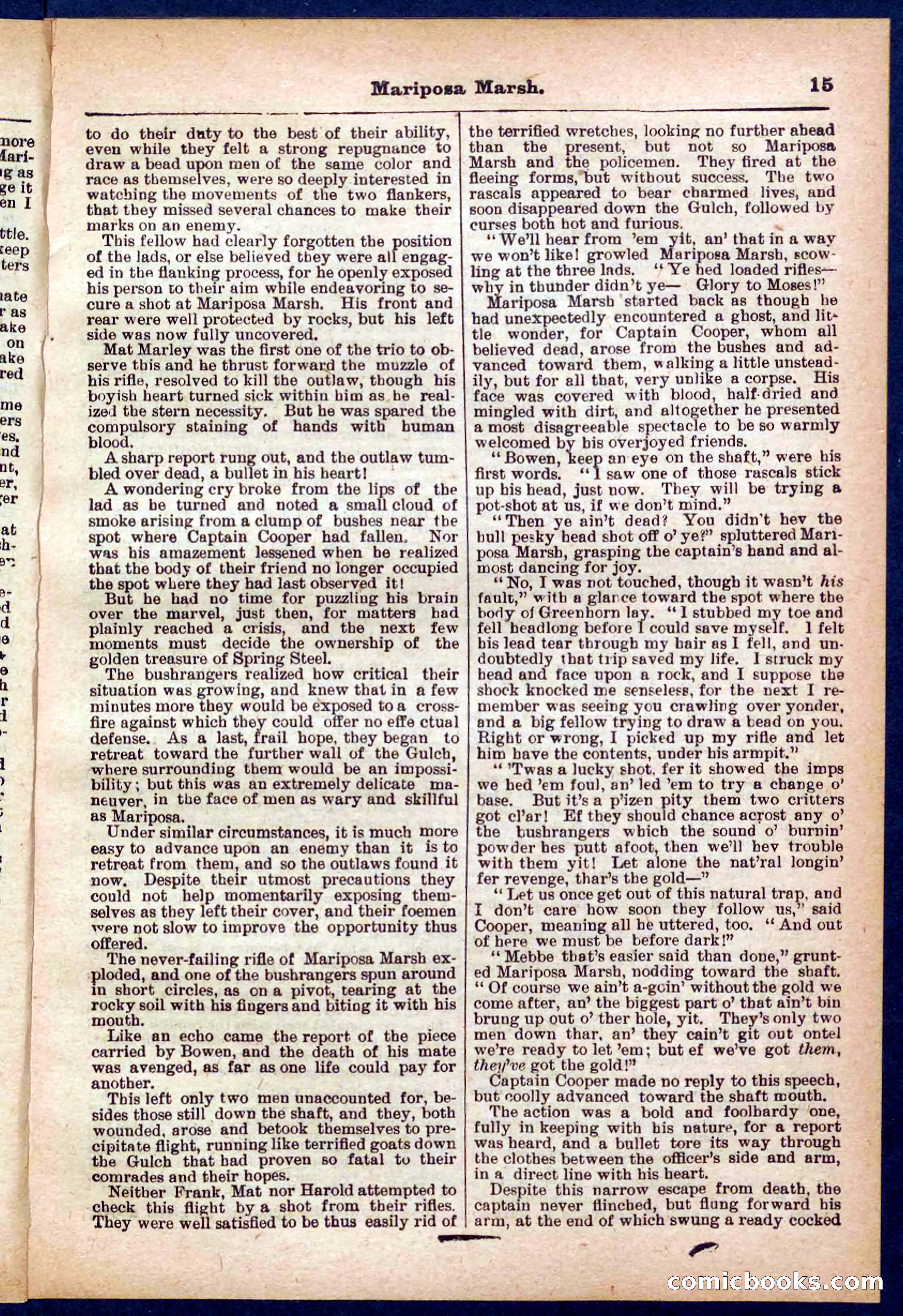 Beadle's Pocket Library No. 384: Brimstone Bill's Booty — page 15 of 32