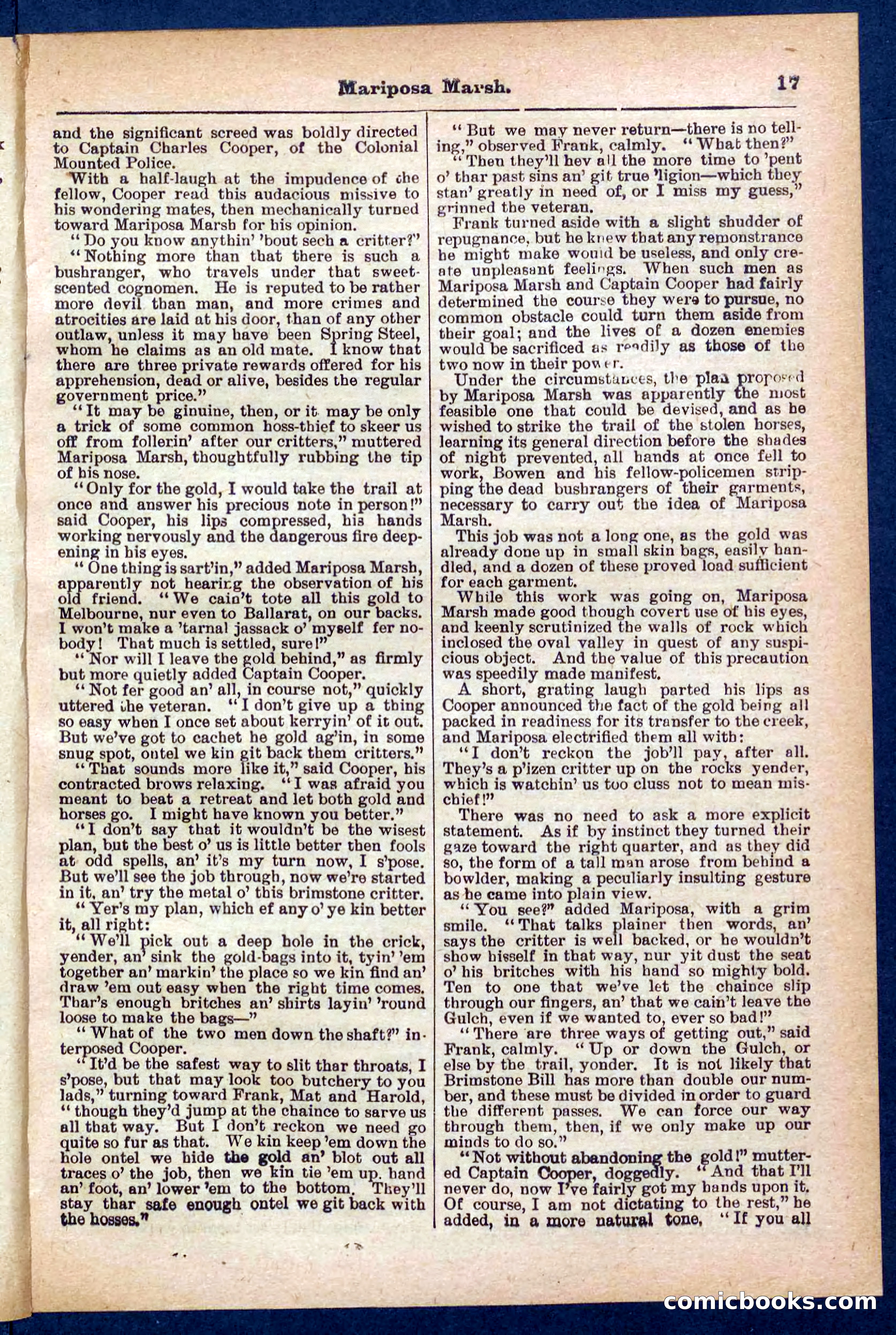 Beadle's Pocket Library No. 384: Brimstone Bill's Booty — page 17 of 32