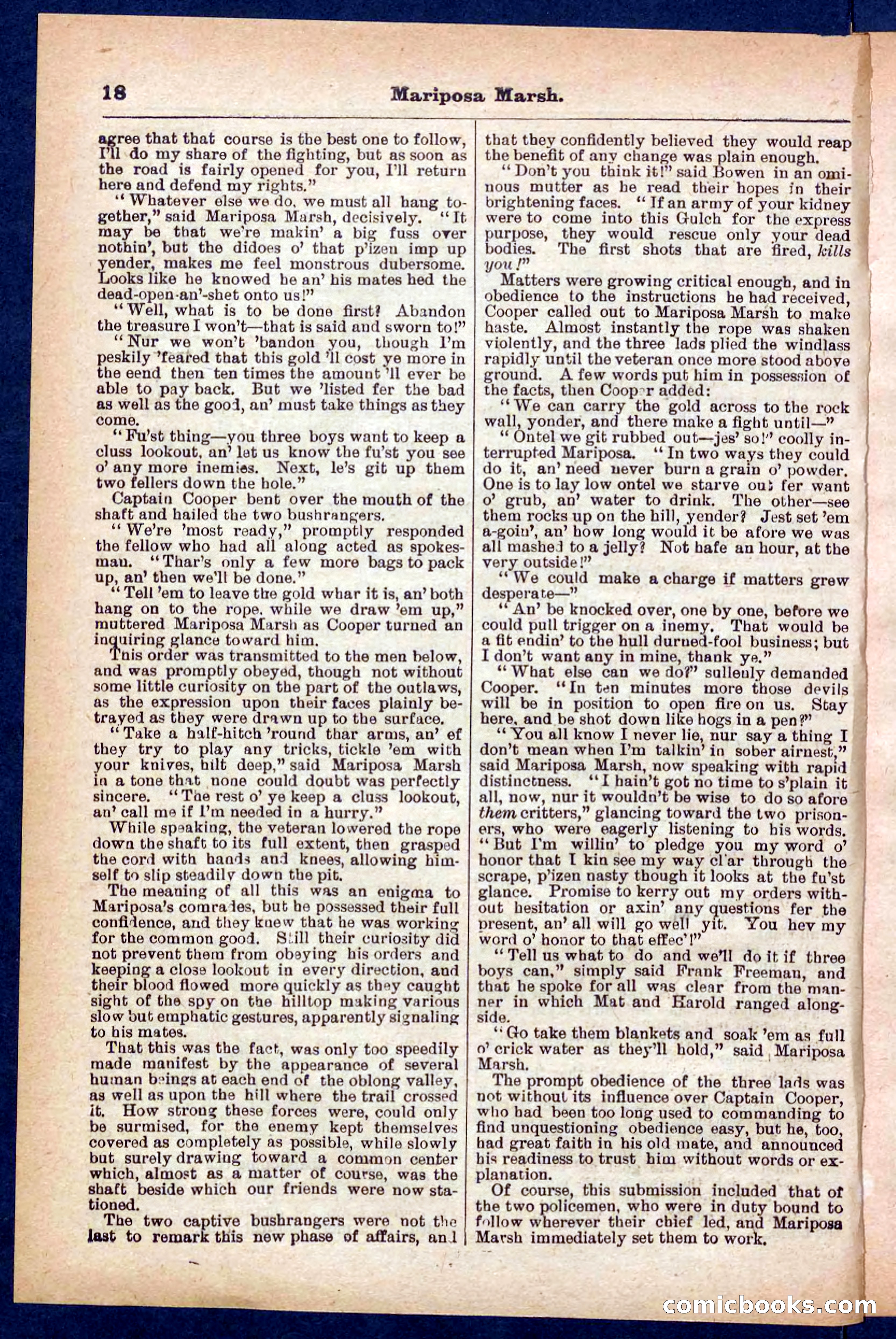Beadle's Pocket Library No. 384: Brimstone Bill's Booty — page 18 of 32
