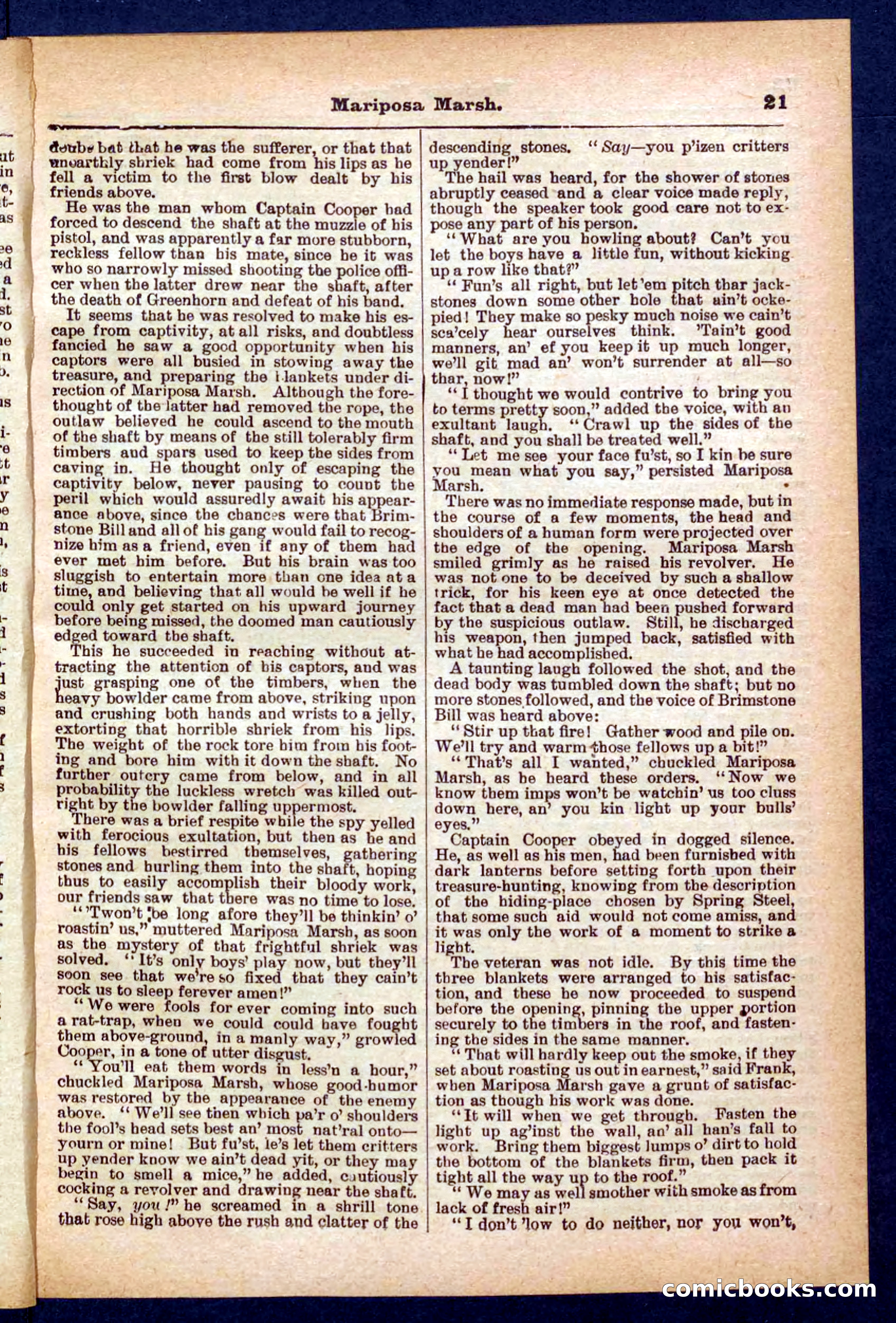 Beadle's Pocket Library No. 384: Brimstone Bill's Booty — page 21 of 32
