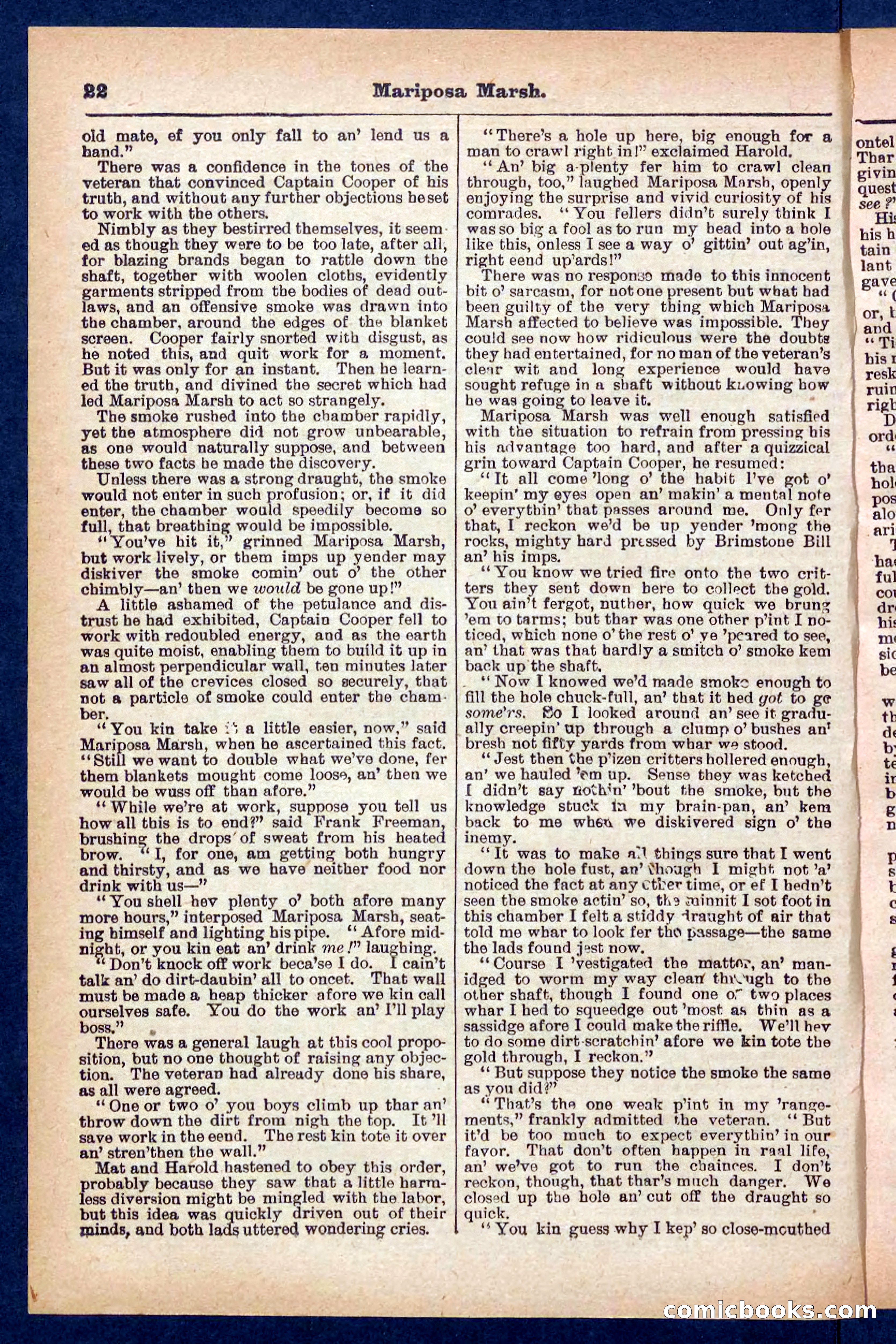 Beadle's Pocket Library No. 384: Brimstone Bill's Booty — page 22 of 32