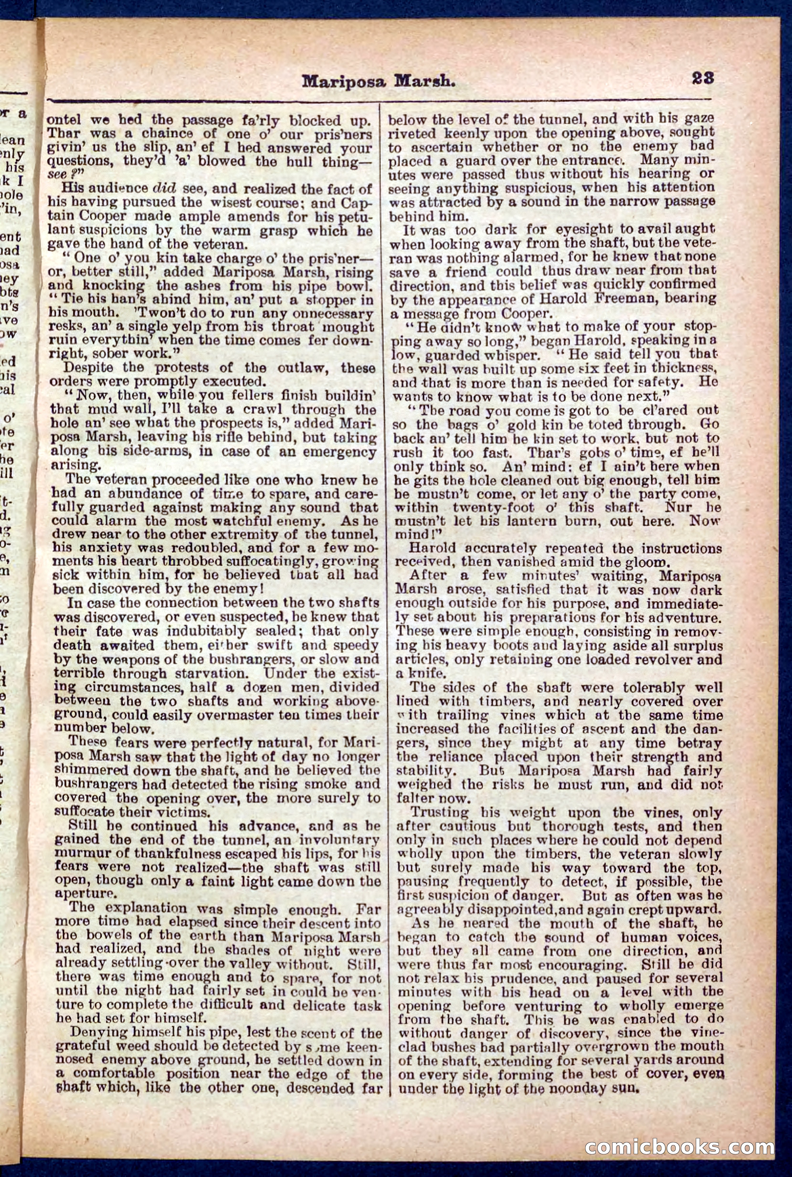 Beadle's Pocket Library No. 384: Brimstone Bill's Booty — page 23 of 32