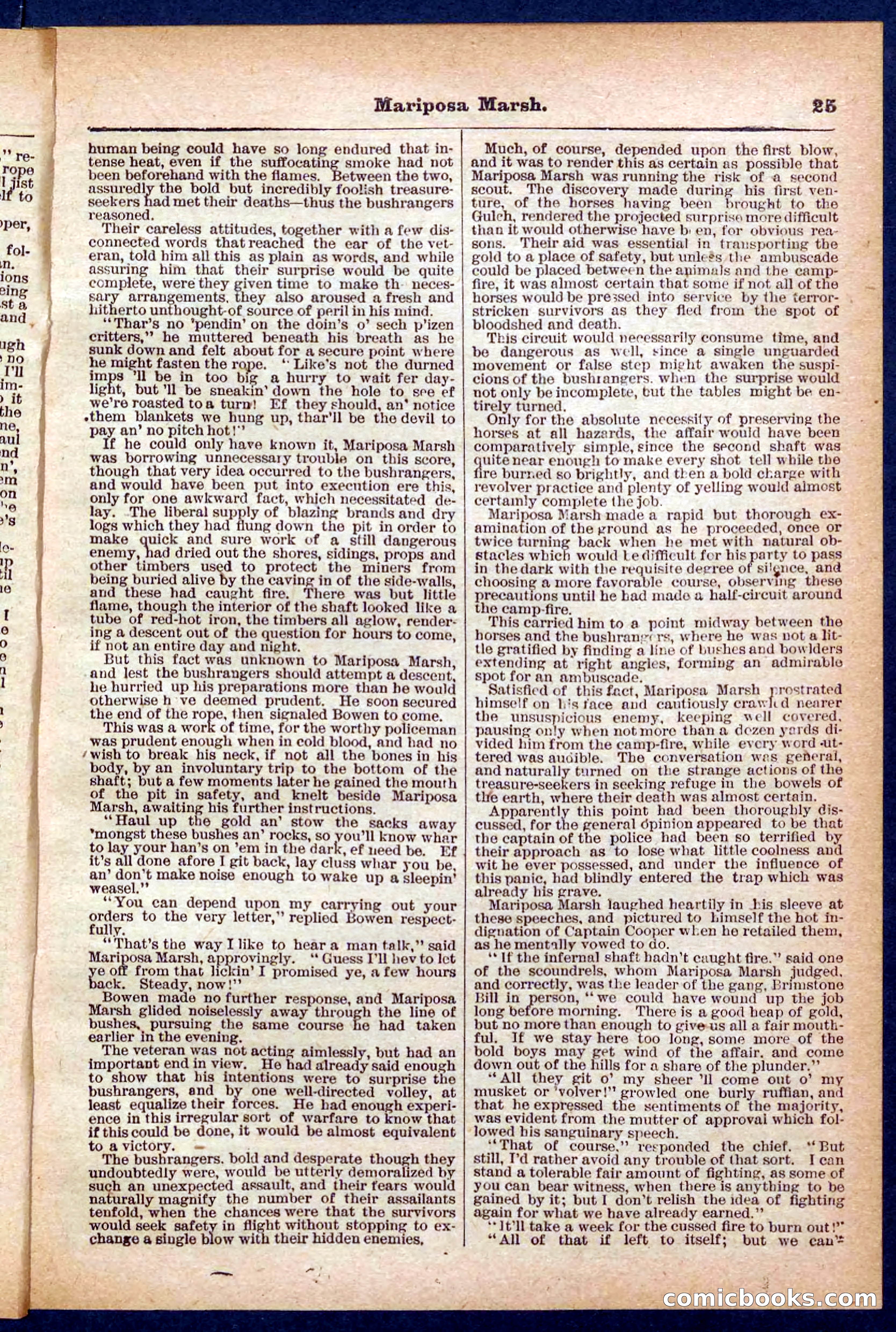 Beadle's Pocket Library No. 384: Brimstone Bill's Booty — page 25 of 32