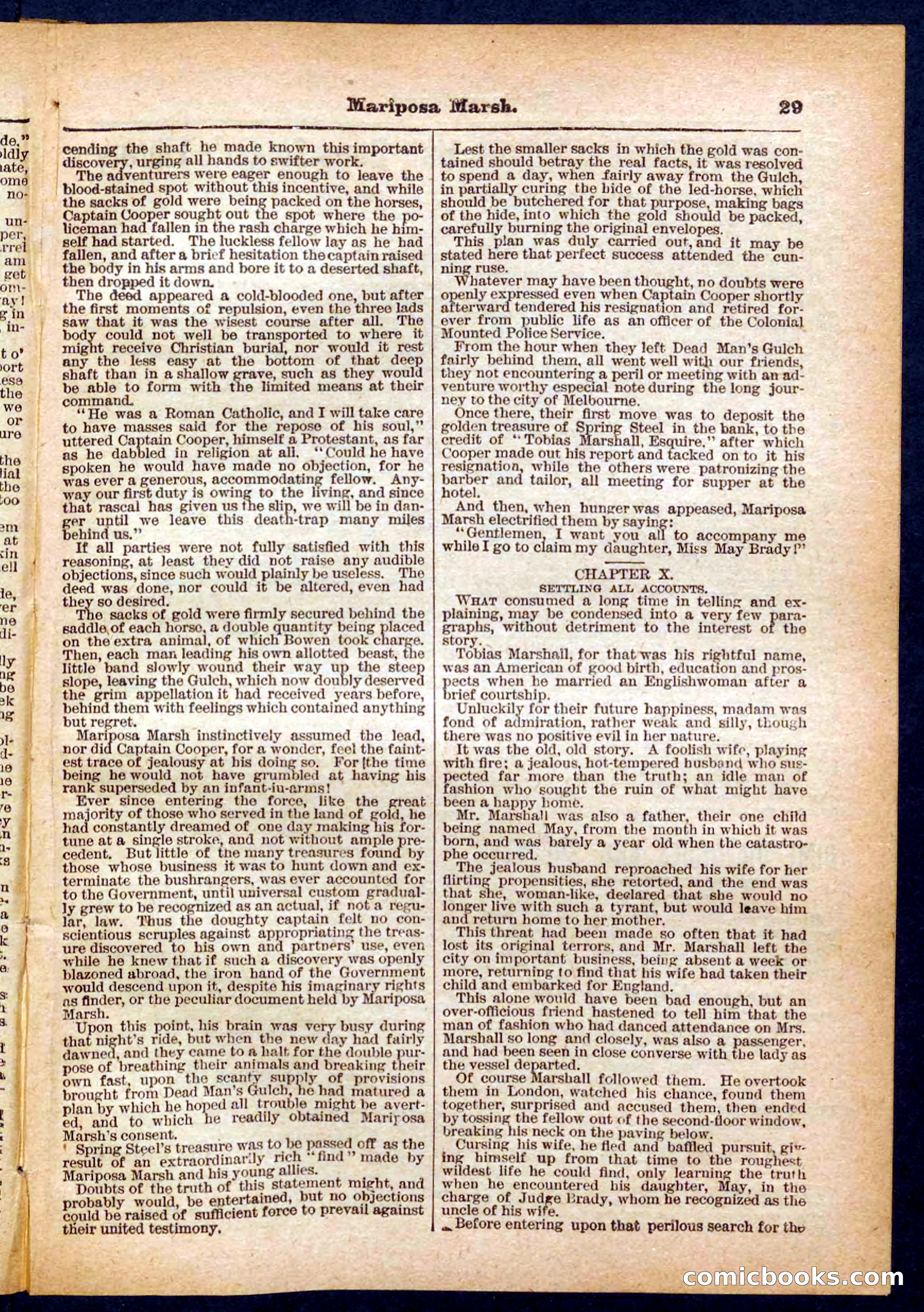 Beadle's Pocket Library No. 384: Brimstone Bill's Booty — page 29 of 32