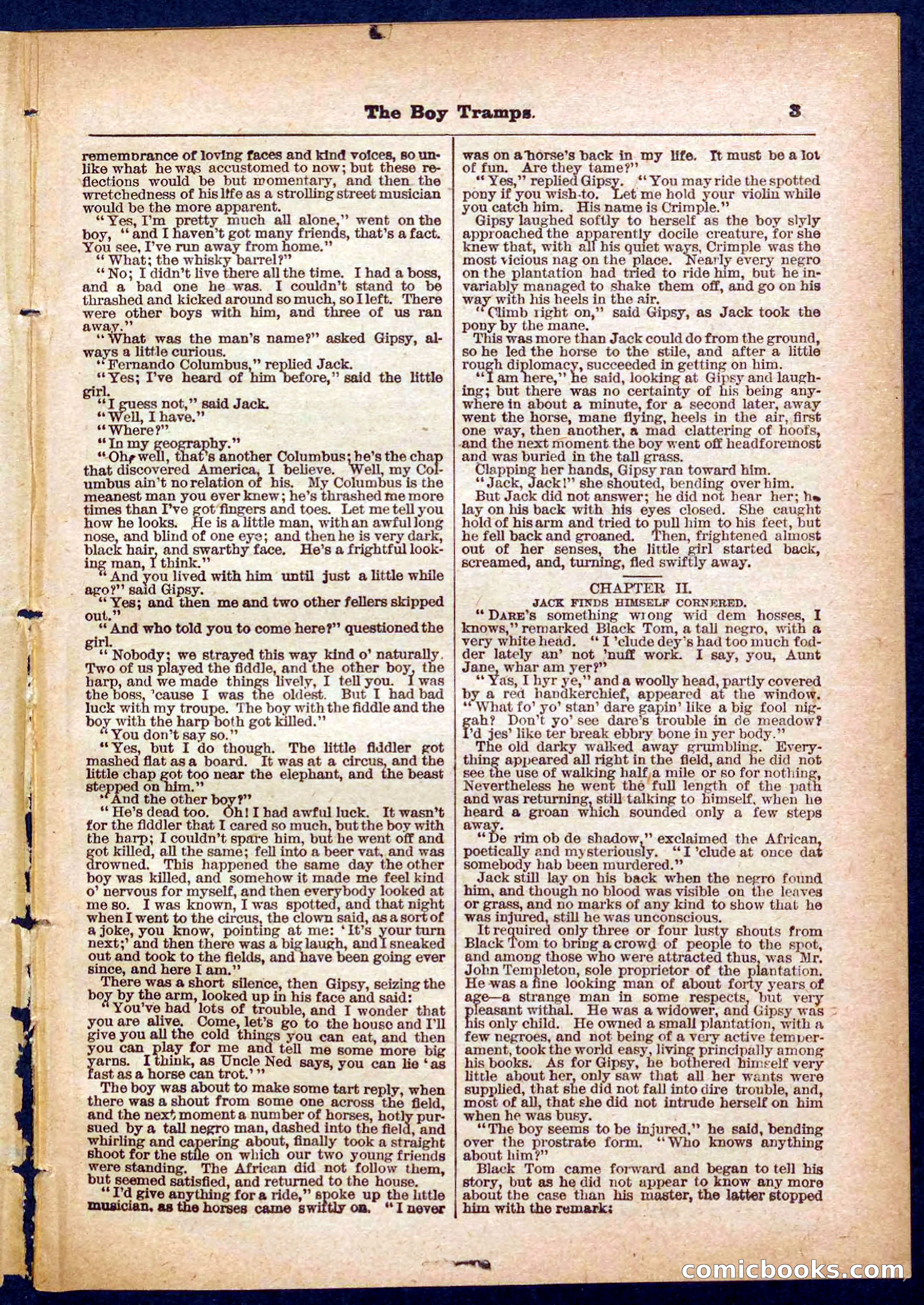 Beadle's Pocket Library No. 385: The Boy Tramps — page 3 of 32