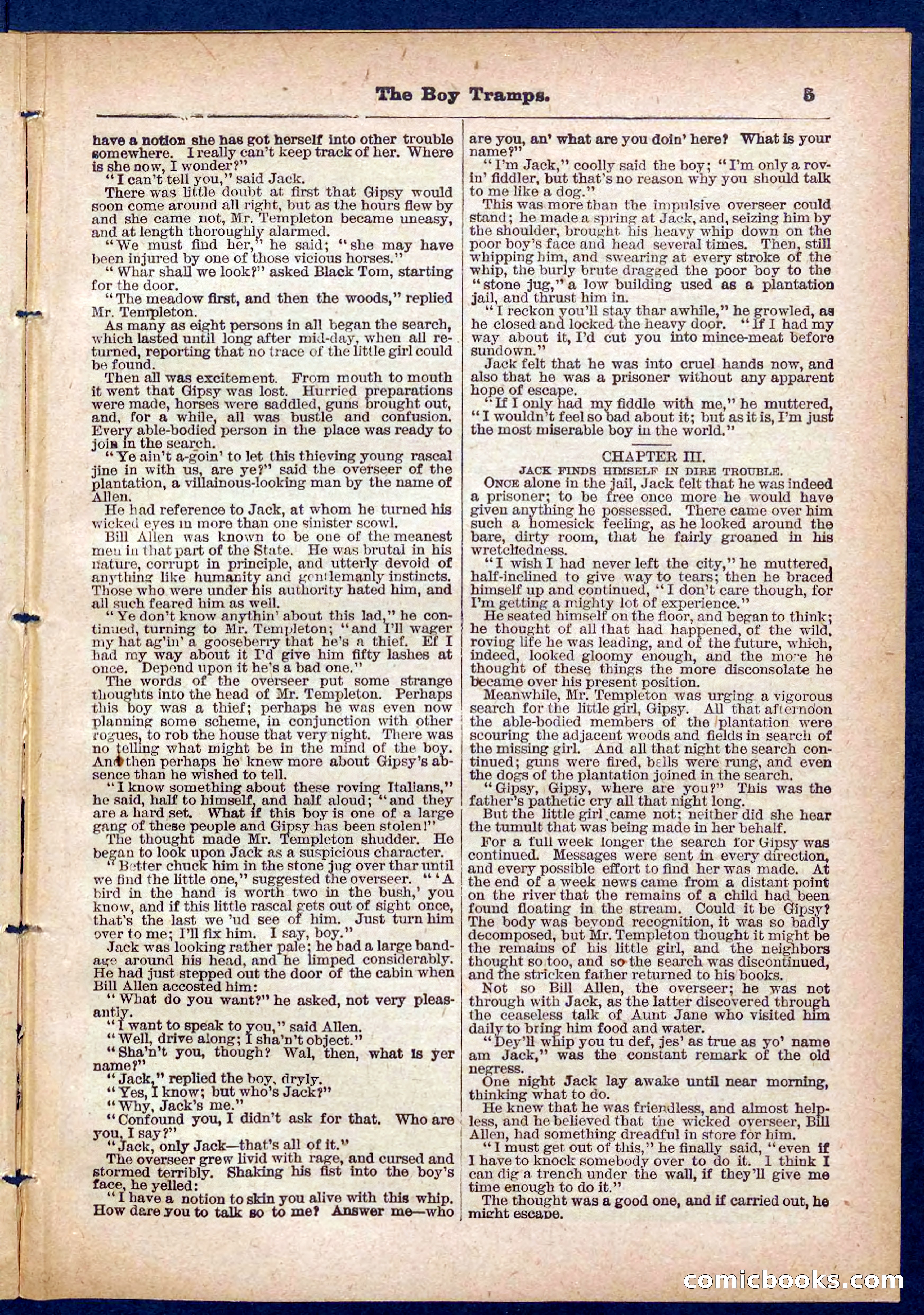 Beadle's Pocket Library No. 385: The Boy Tramps — page 5 of 32
