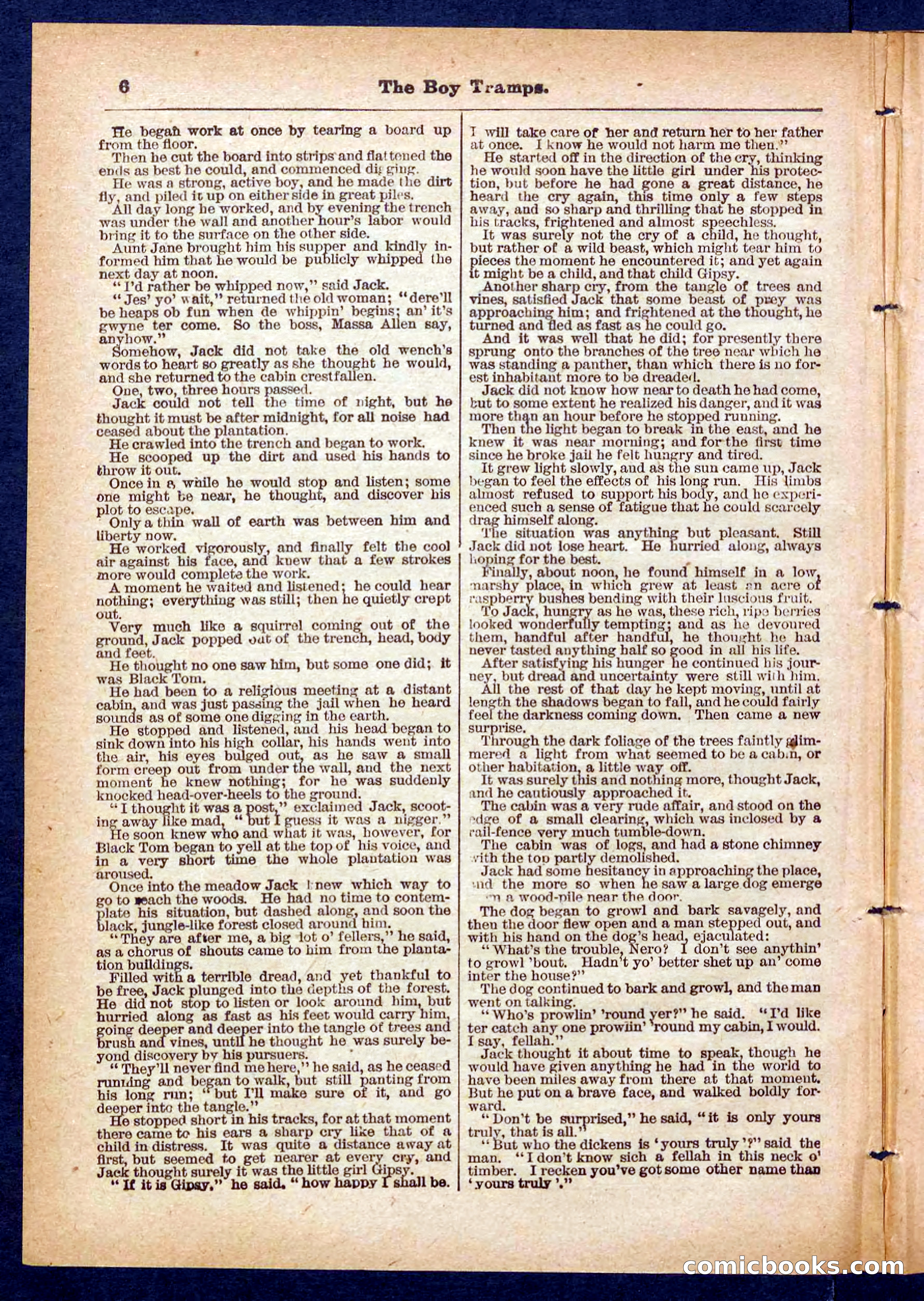 Beadle's Pocket Library No. 385: The Boy Tramps — page 6 of 32