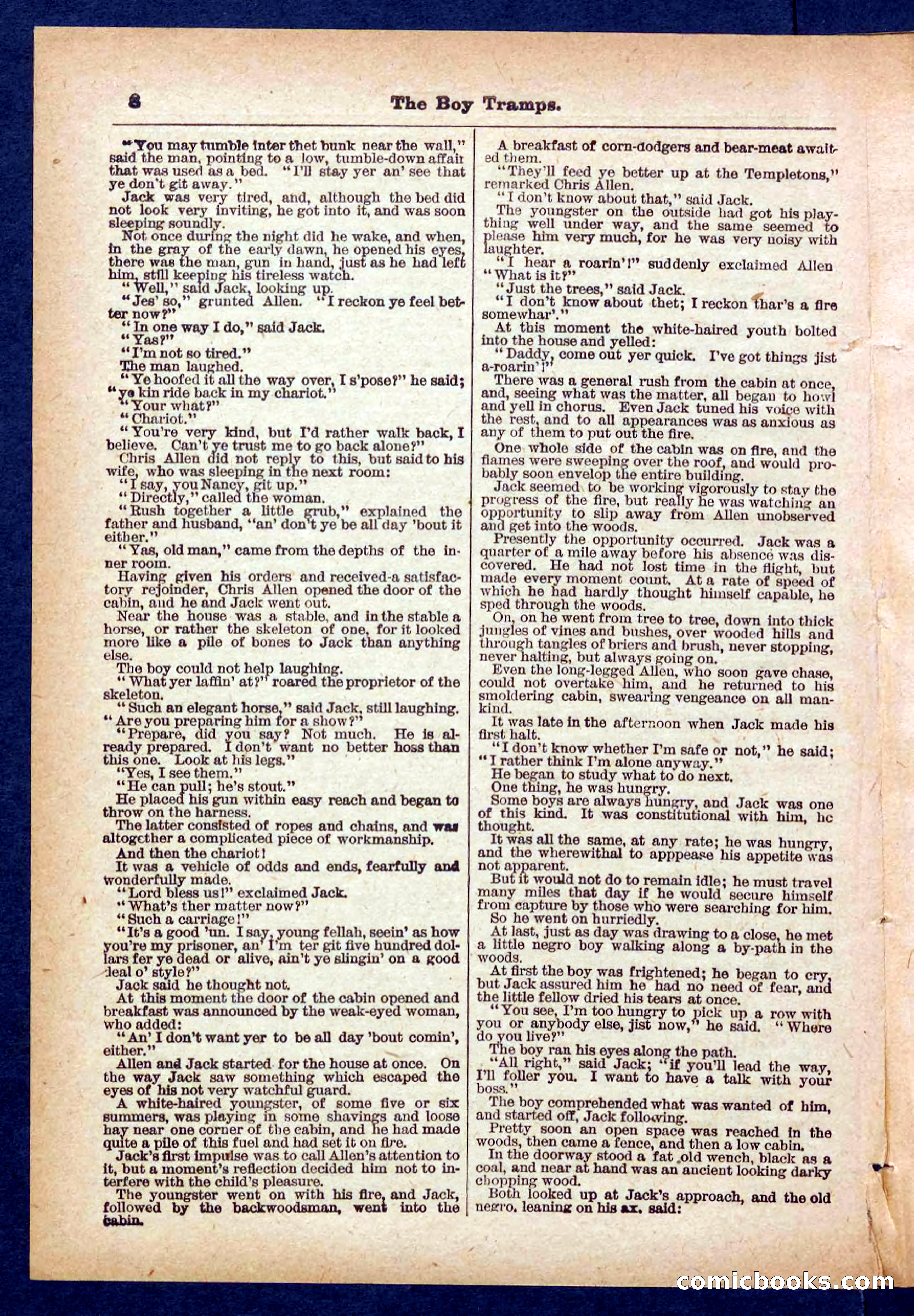Beadle's Pocket Library No. 385: The Boy Tramps — page 8 of 32