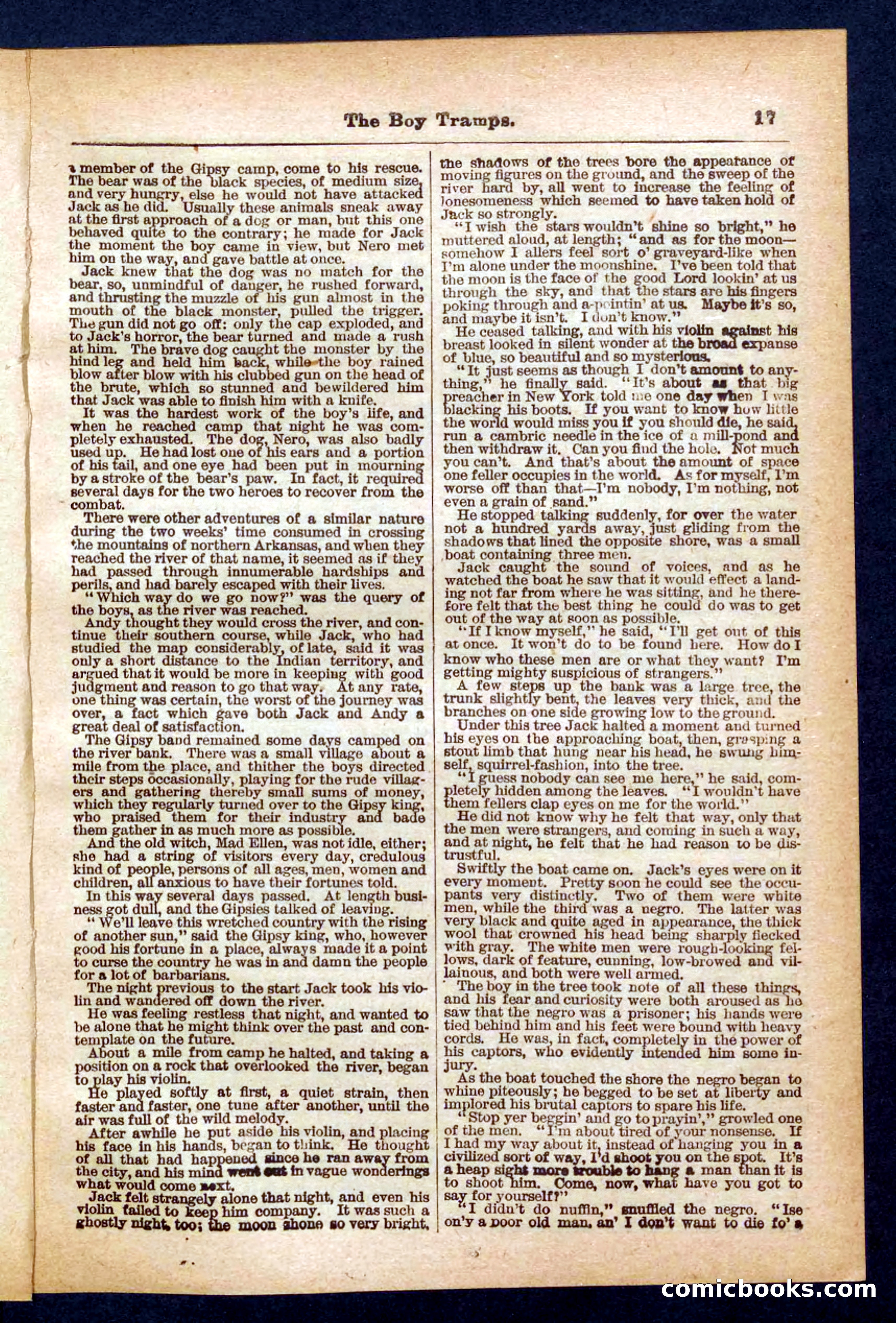 Beadle's Pocket Library No. 385: The Boy Tramps — page 17 of 32