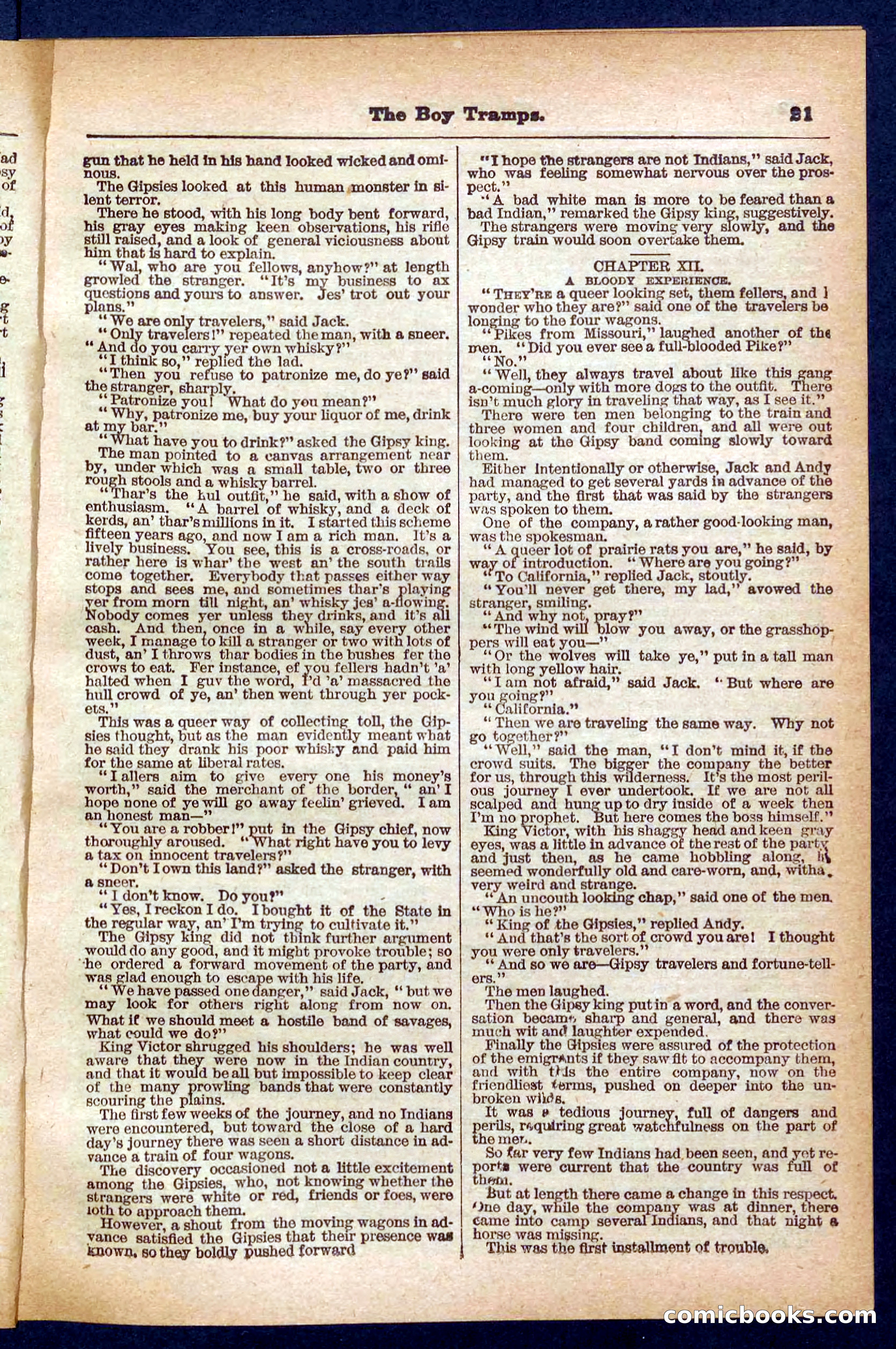 Beadle's Pocket Library No. 385: The Boy Tramps — page 21 of 32