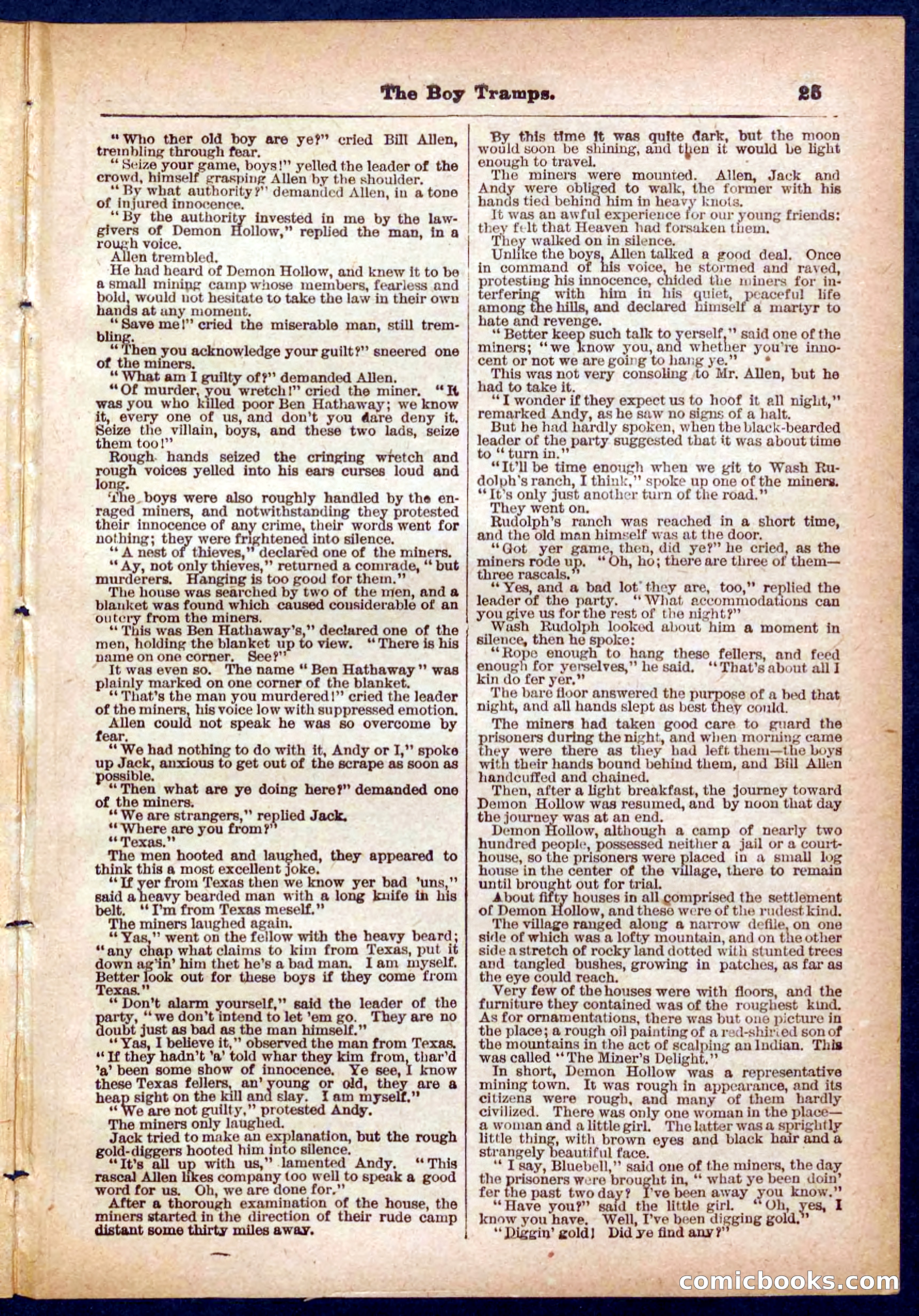 Beadle's Pocket Library No. 385: The Boy Tramps — page 25 of 32