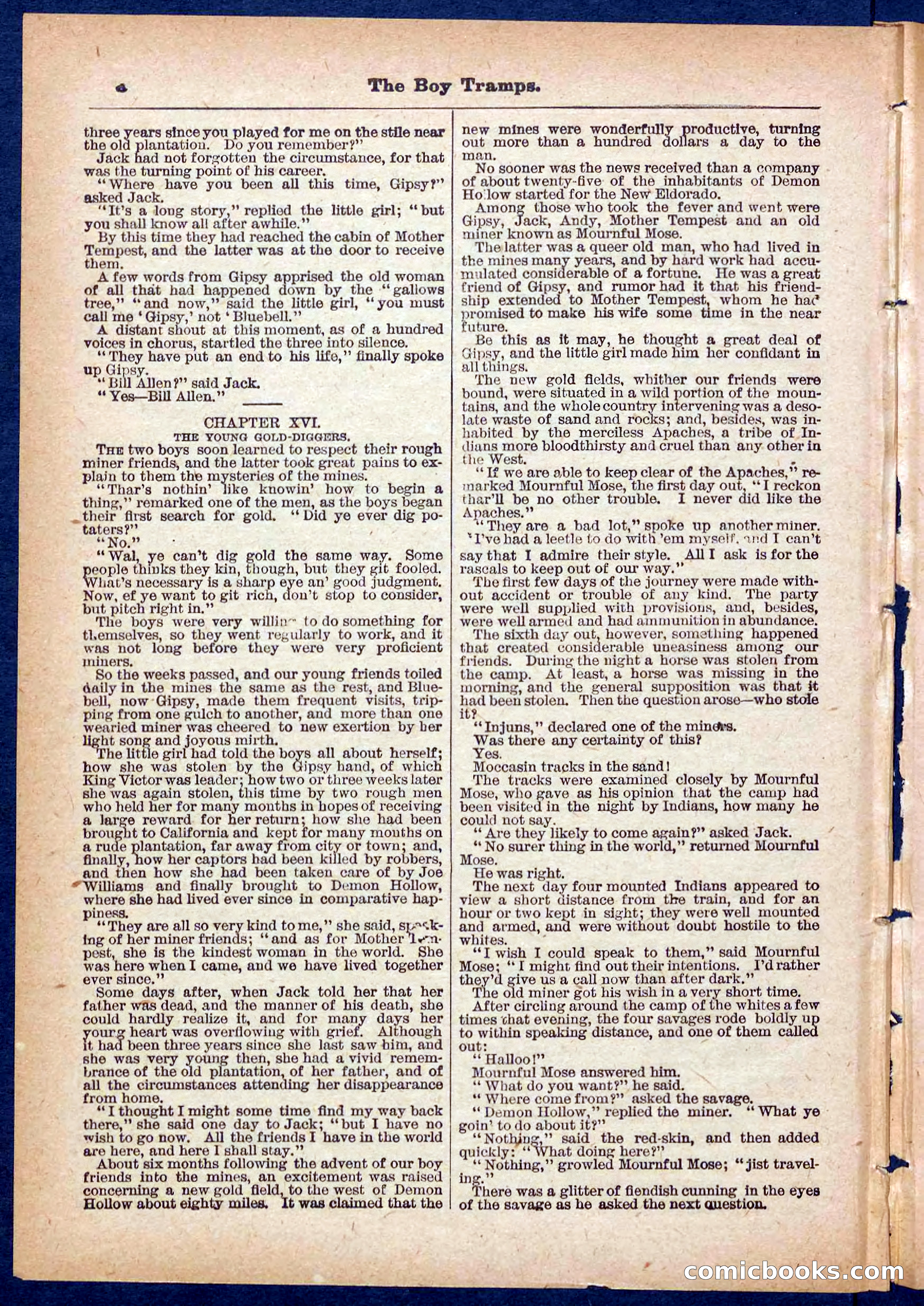 Beadle's Pocket Library No. 385: The Boy Tramps — page 28 of 32