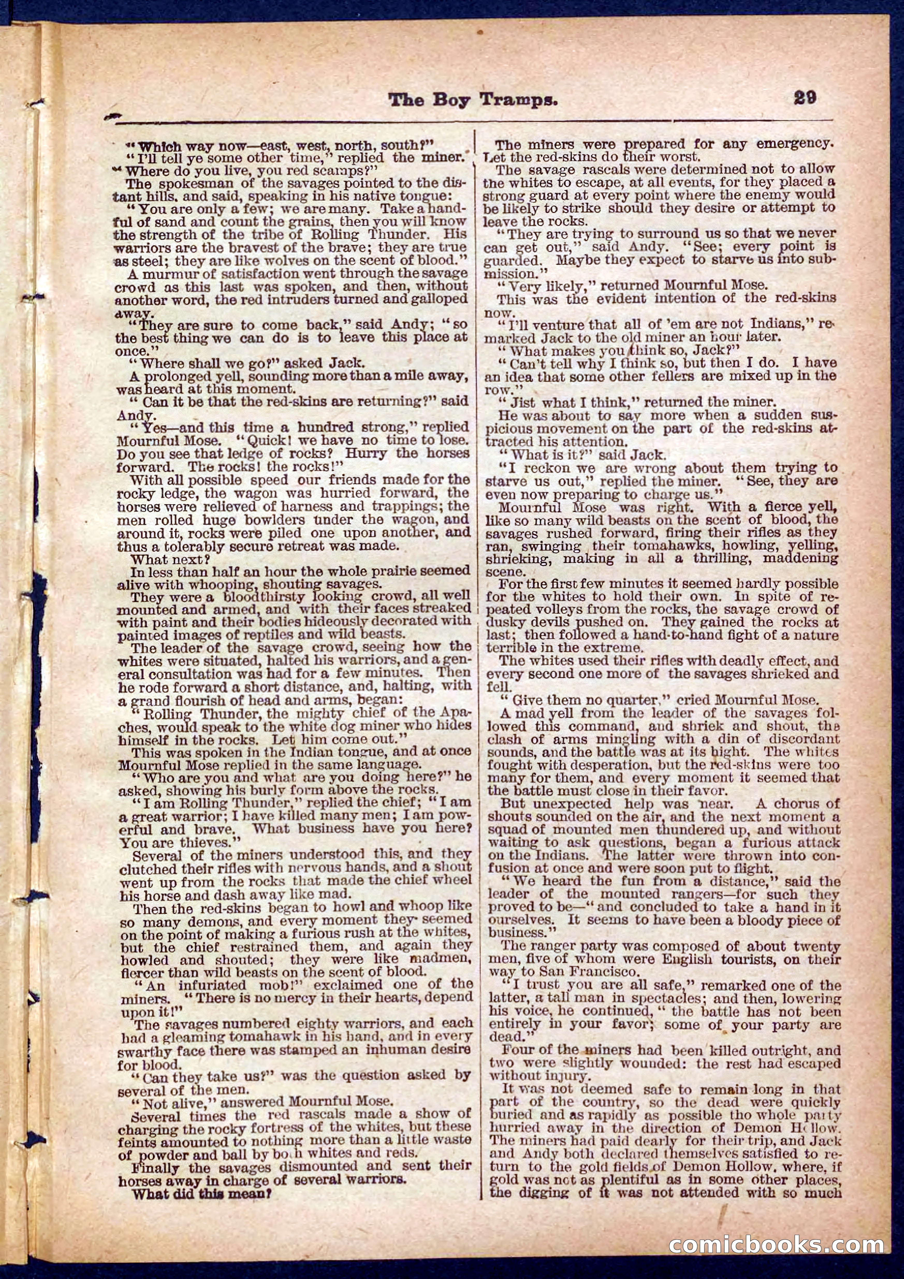 Beadle's Pocket Library No. 385: The Boy Tramps — page 29 of 32