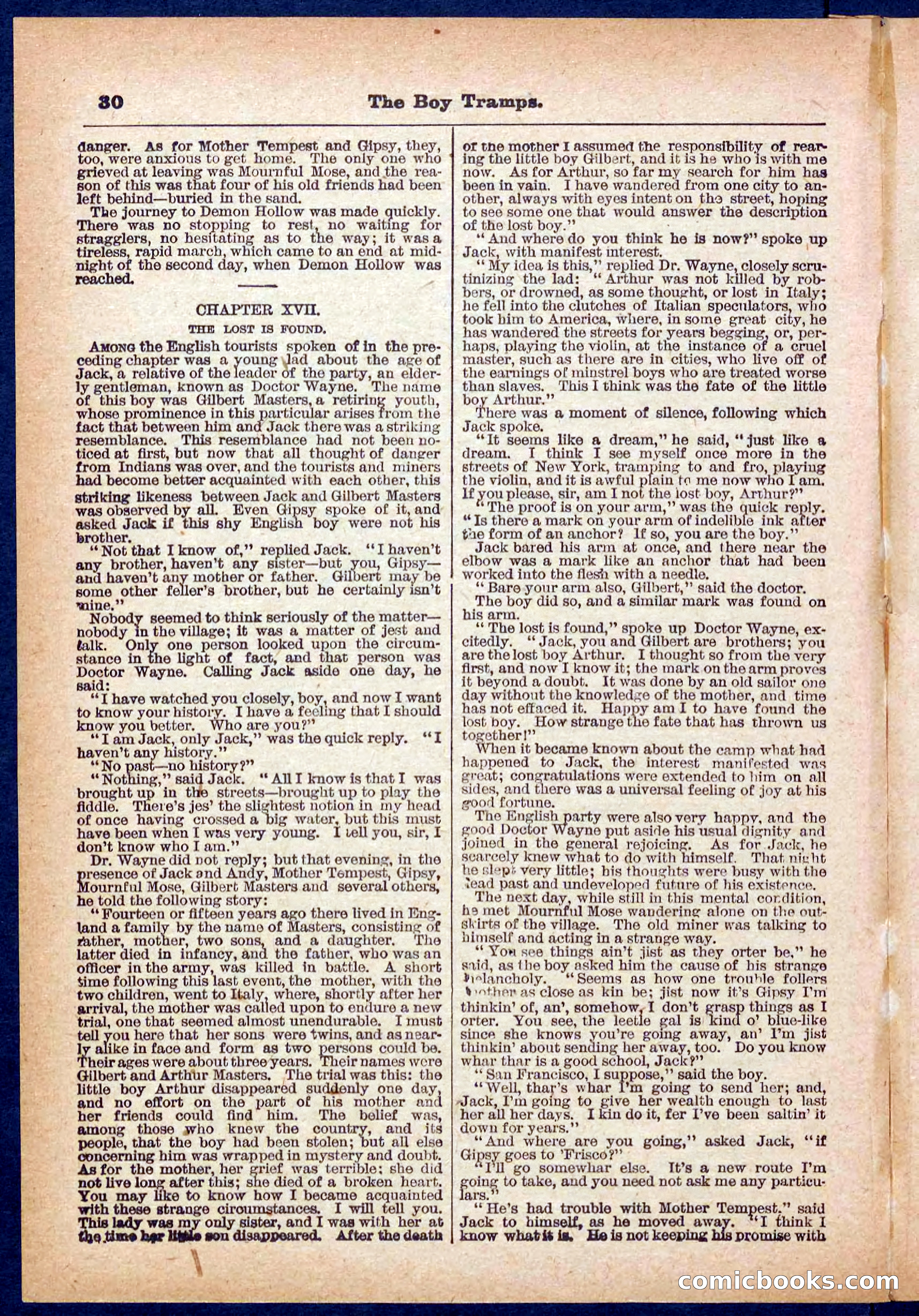 Beadle's Pocket Library No. 385: The Boy Tramps — page 30 of 32