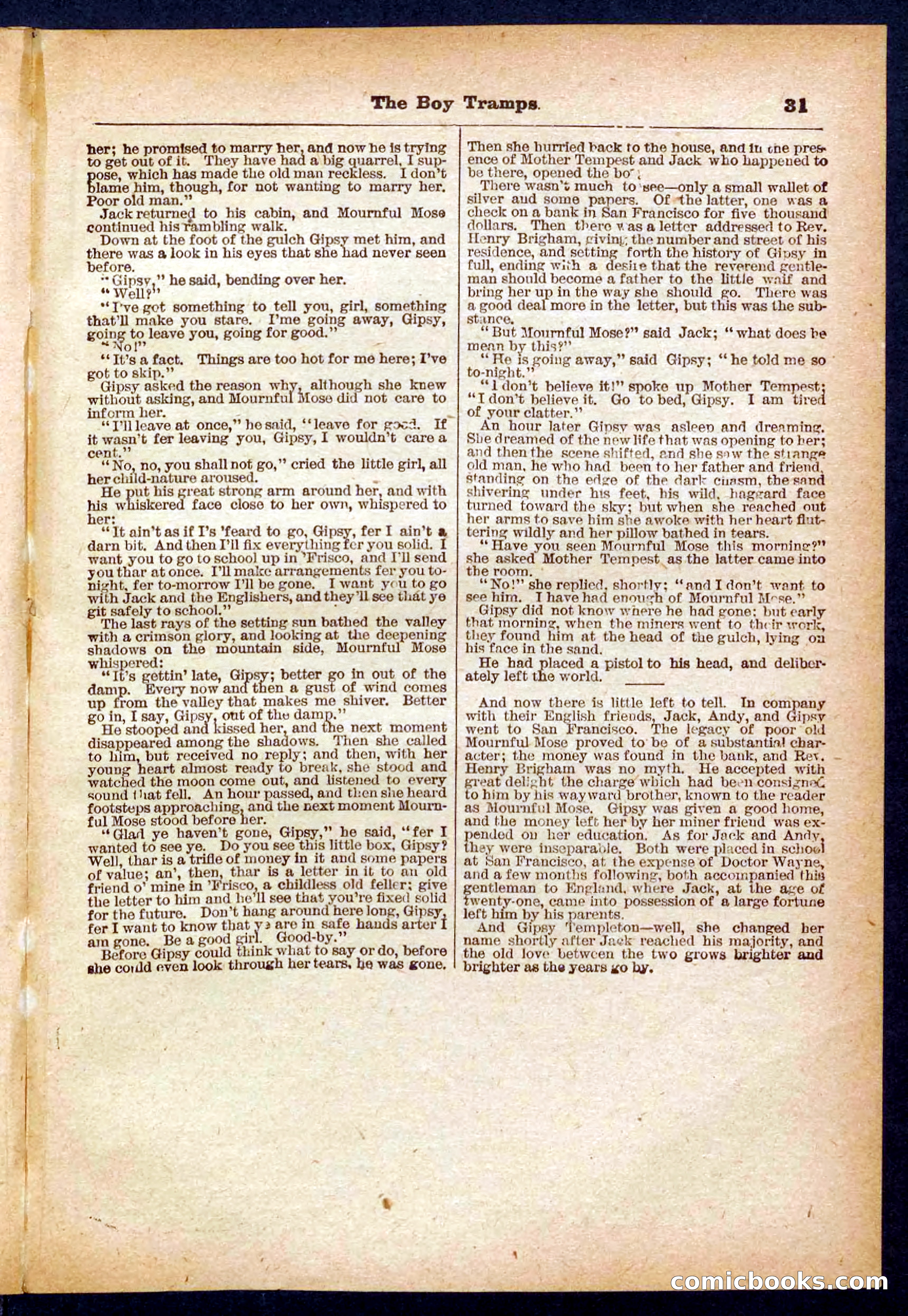 Beadle's Pocket Library No. 385: The Boy Tramps — page 31 of 32