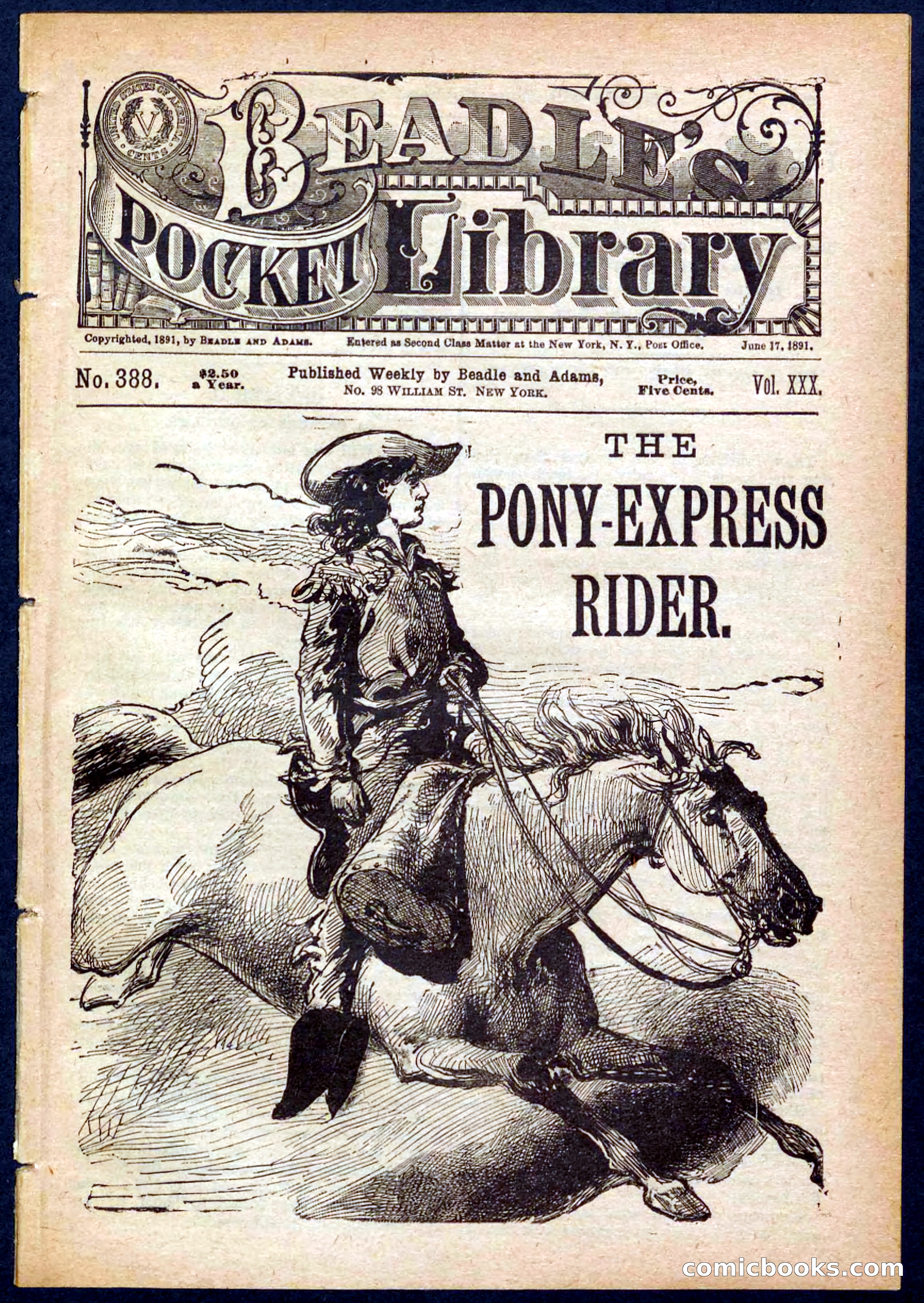 The Pony-Express Rider