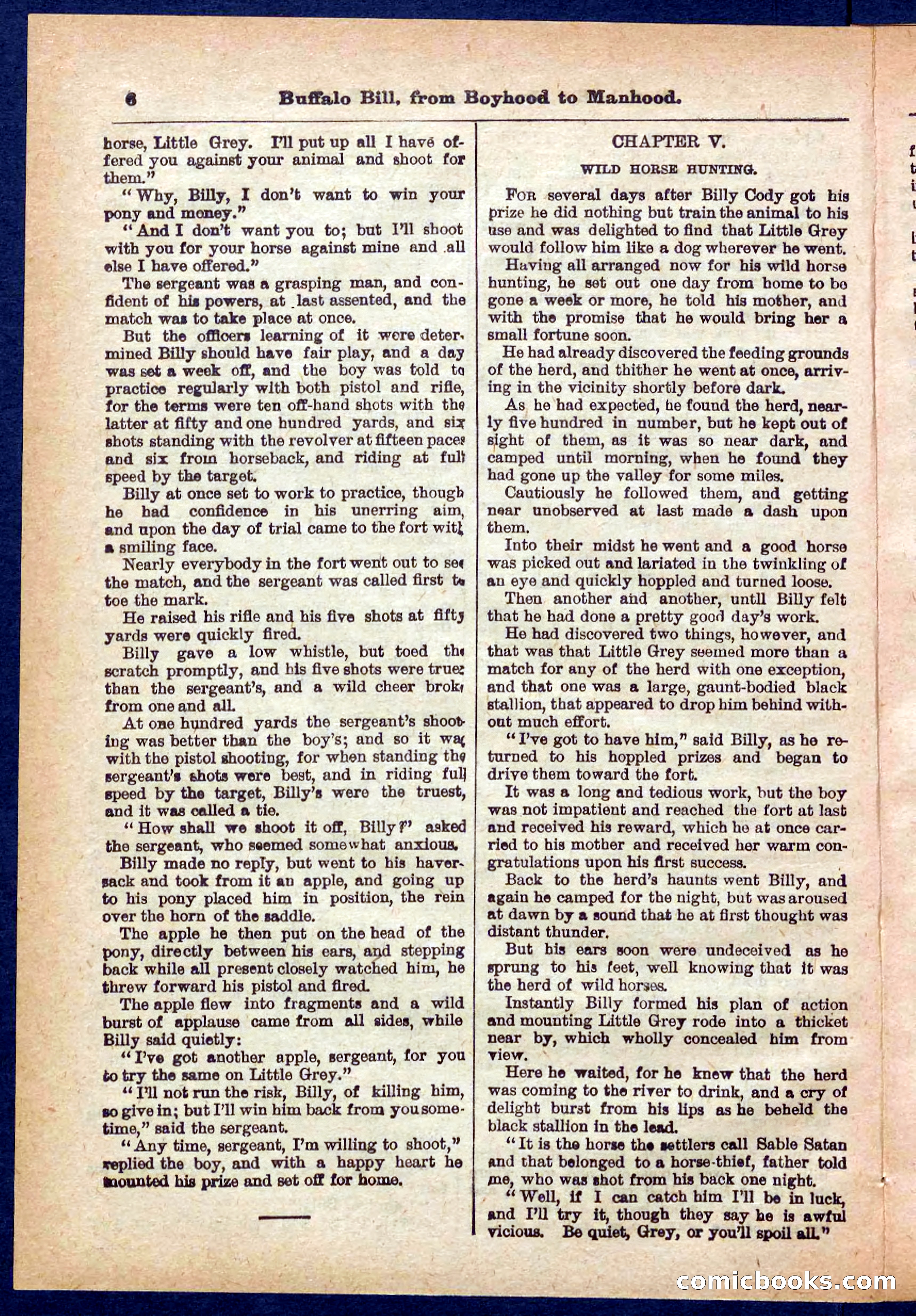 The Pony-Express Rider — page 6 of 32