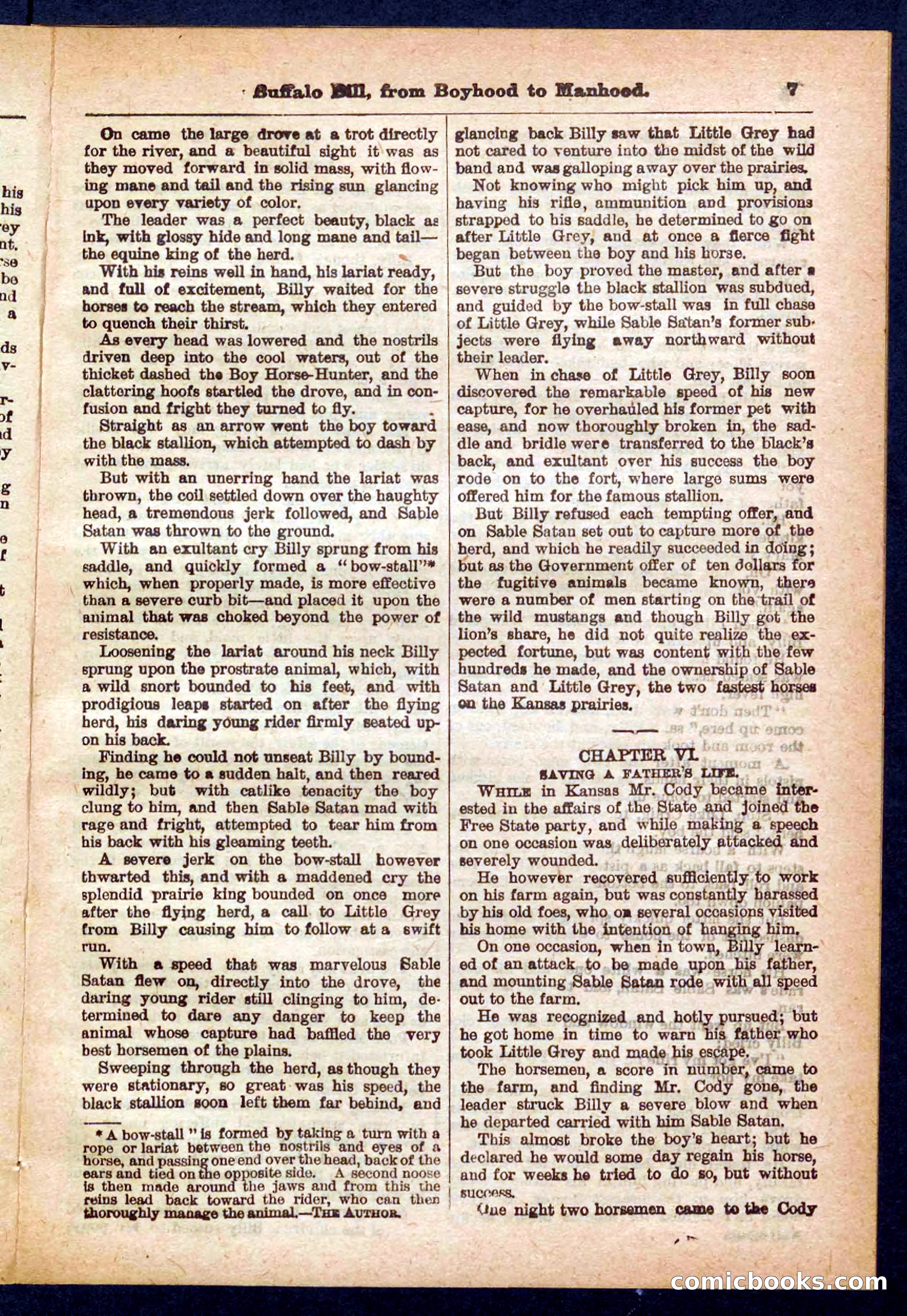 The Pony-Express Rider — page 7 of 32