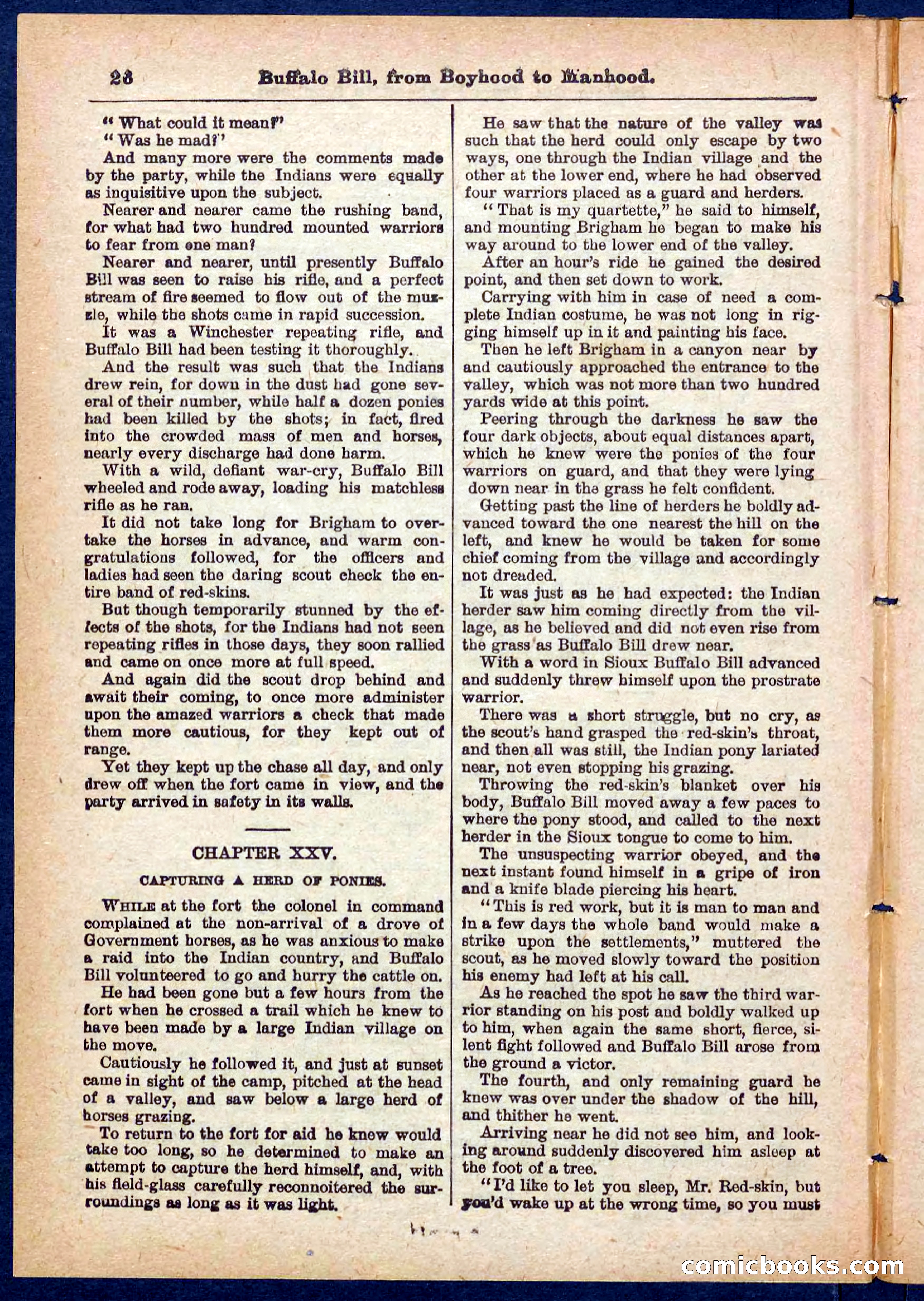 The Pony-Express Rider — page 26 of 32