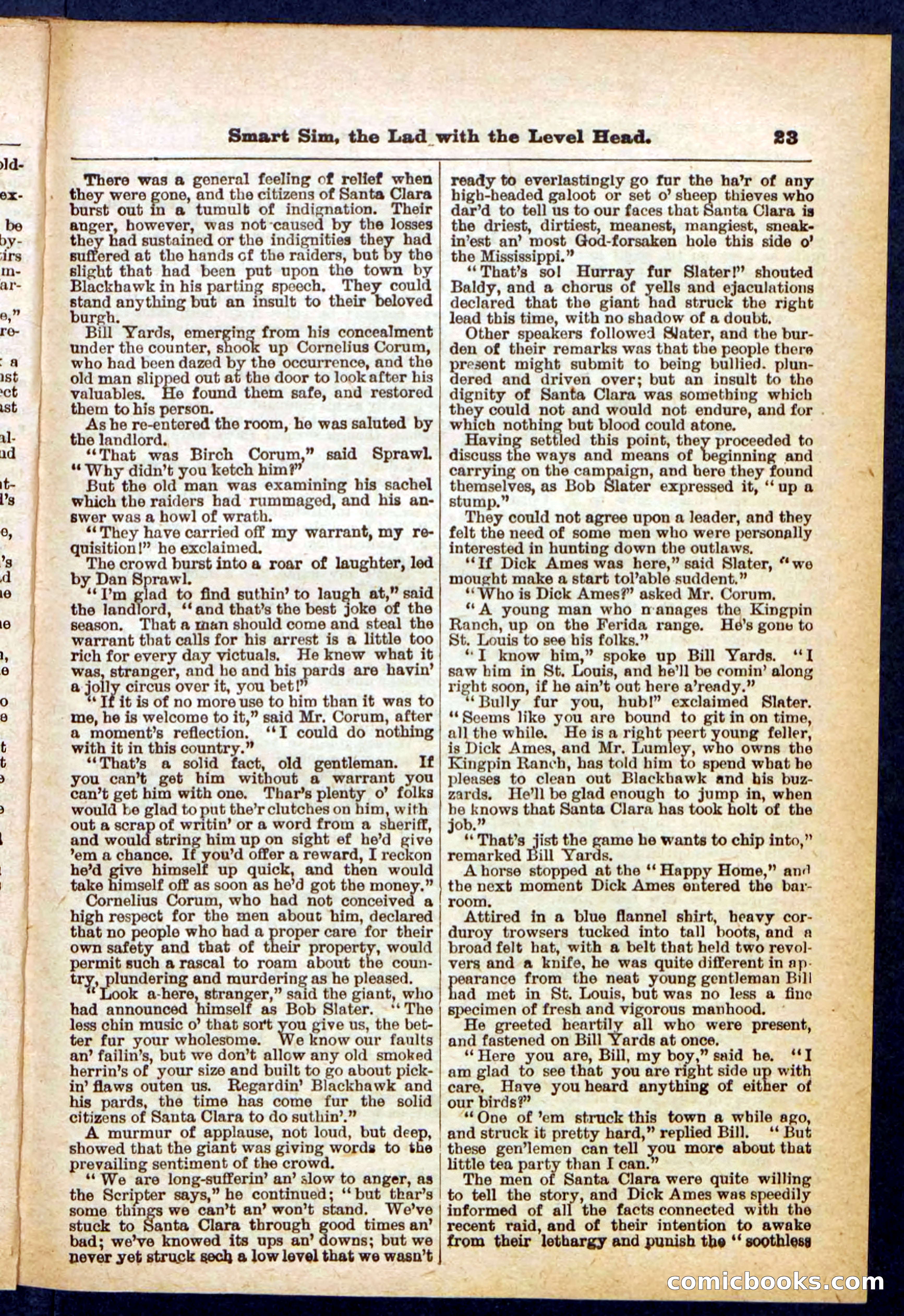 New York Bill, the Dodger — page 23 of 32