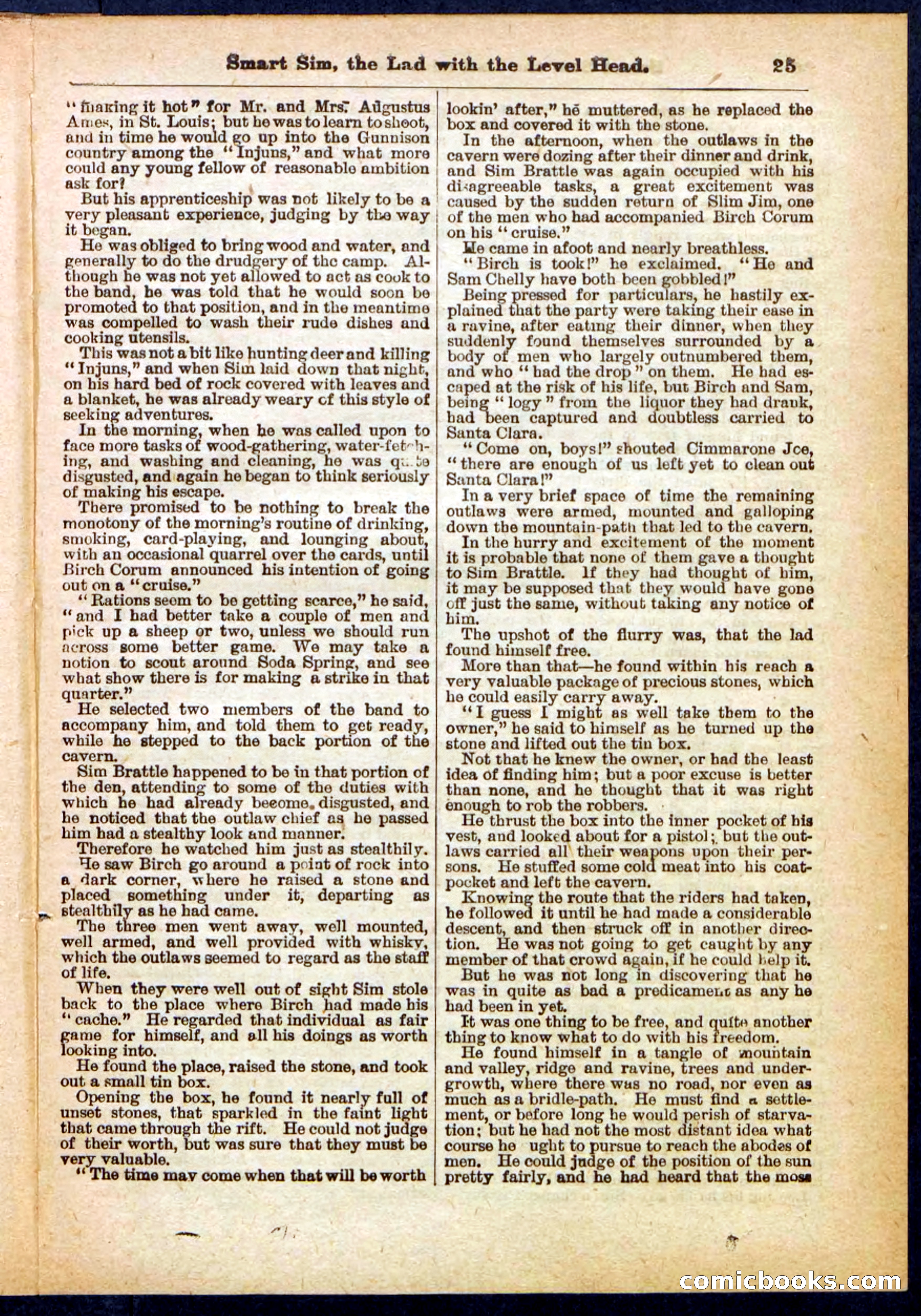 New York Bill, the Dodger — page 25 of 32