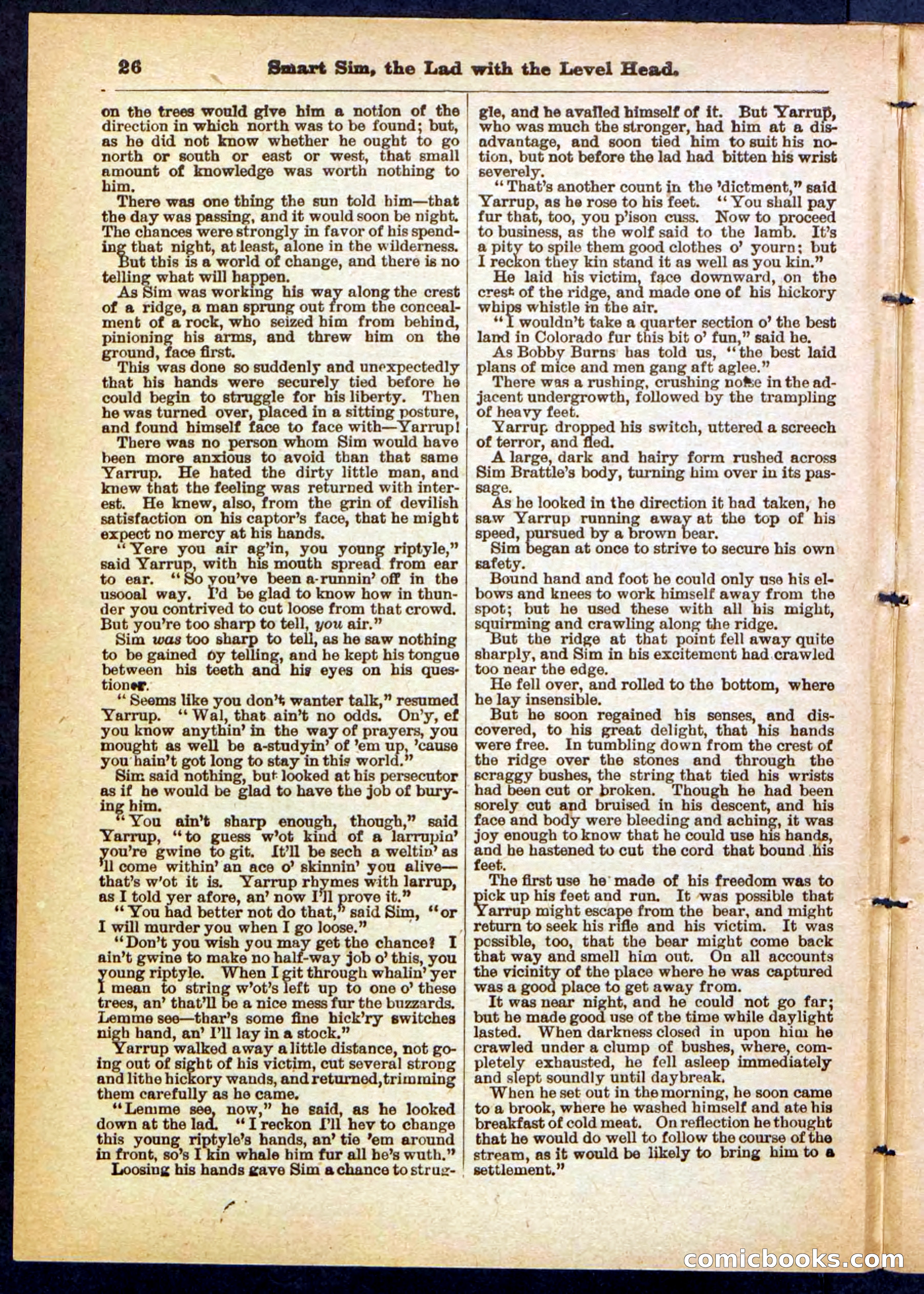 New York Bill, the Dodger — page 26 of 32