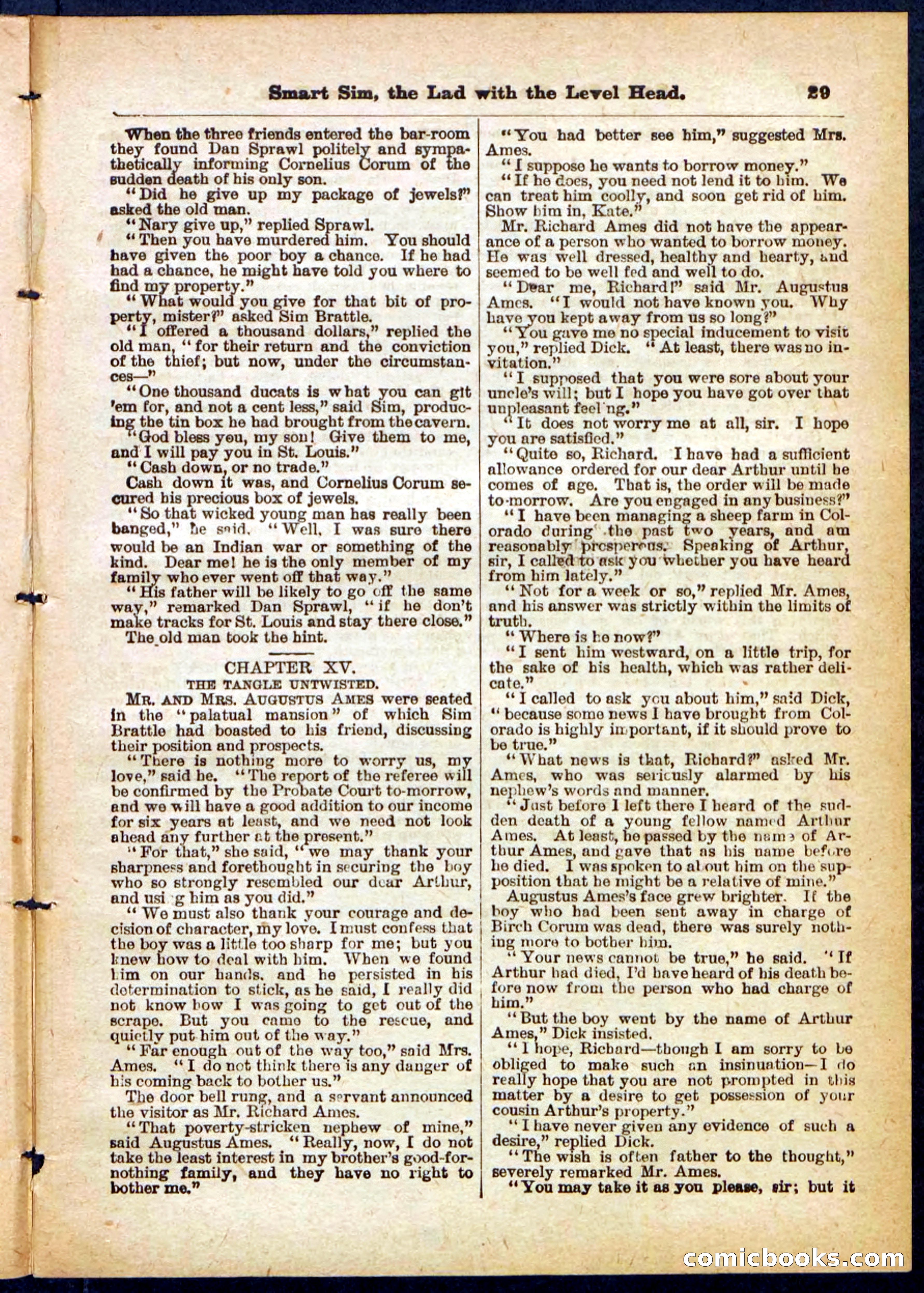 New York Bill, the Dodger — page 29 of 32