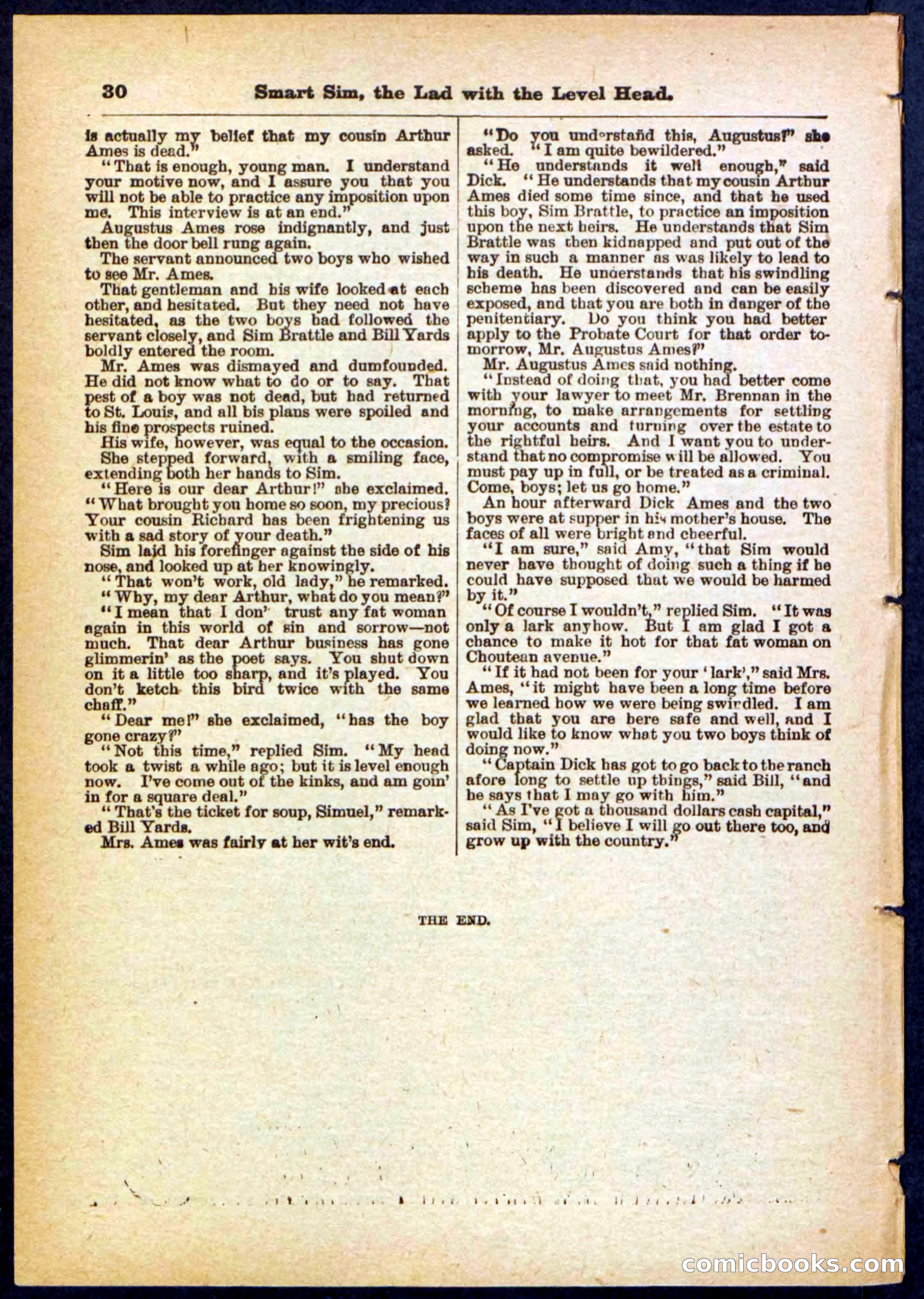 New York Bill, the Dodger — page 30 of 32