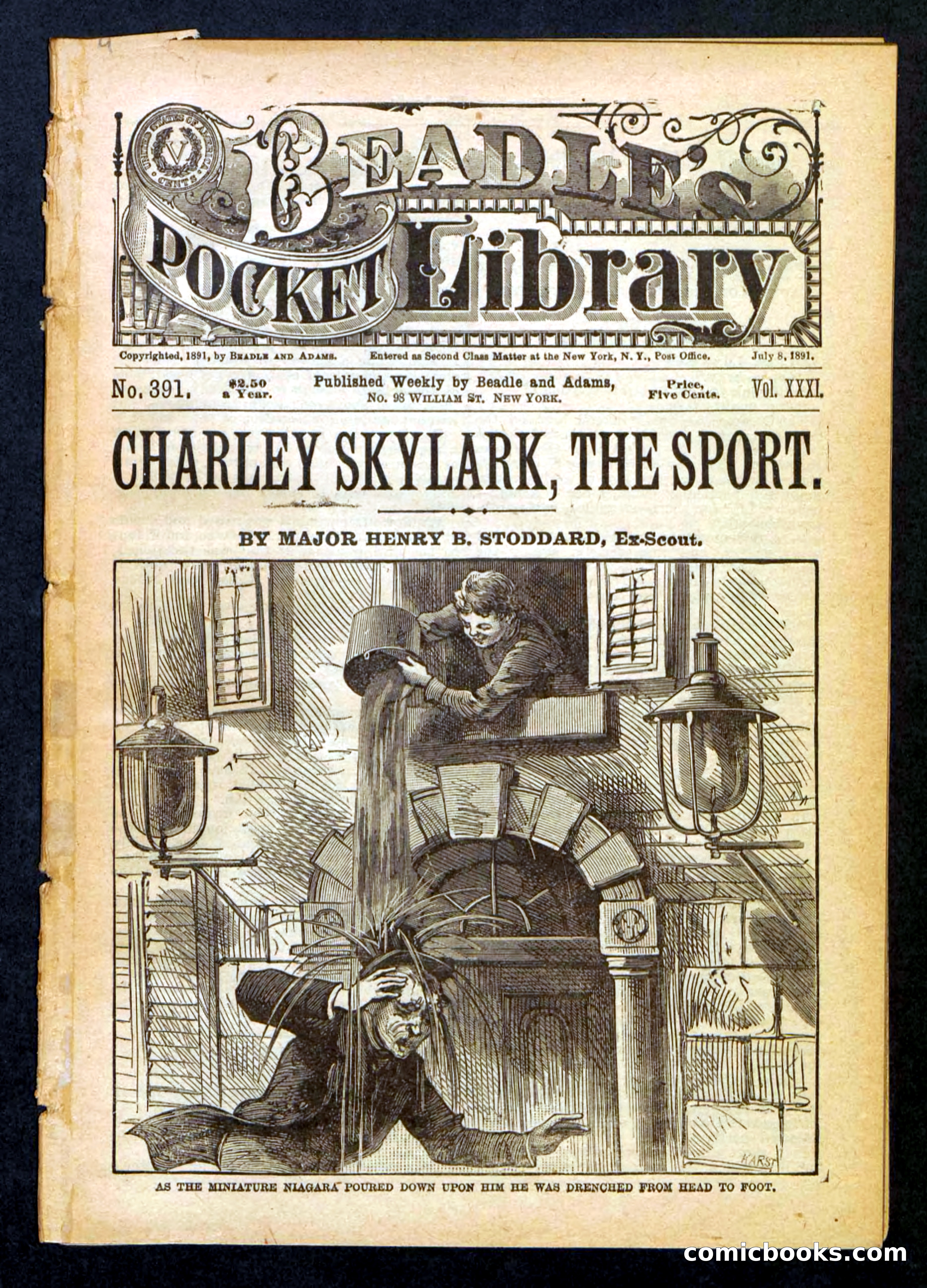 Beadle's Pocket Library No. 391