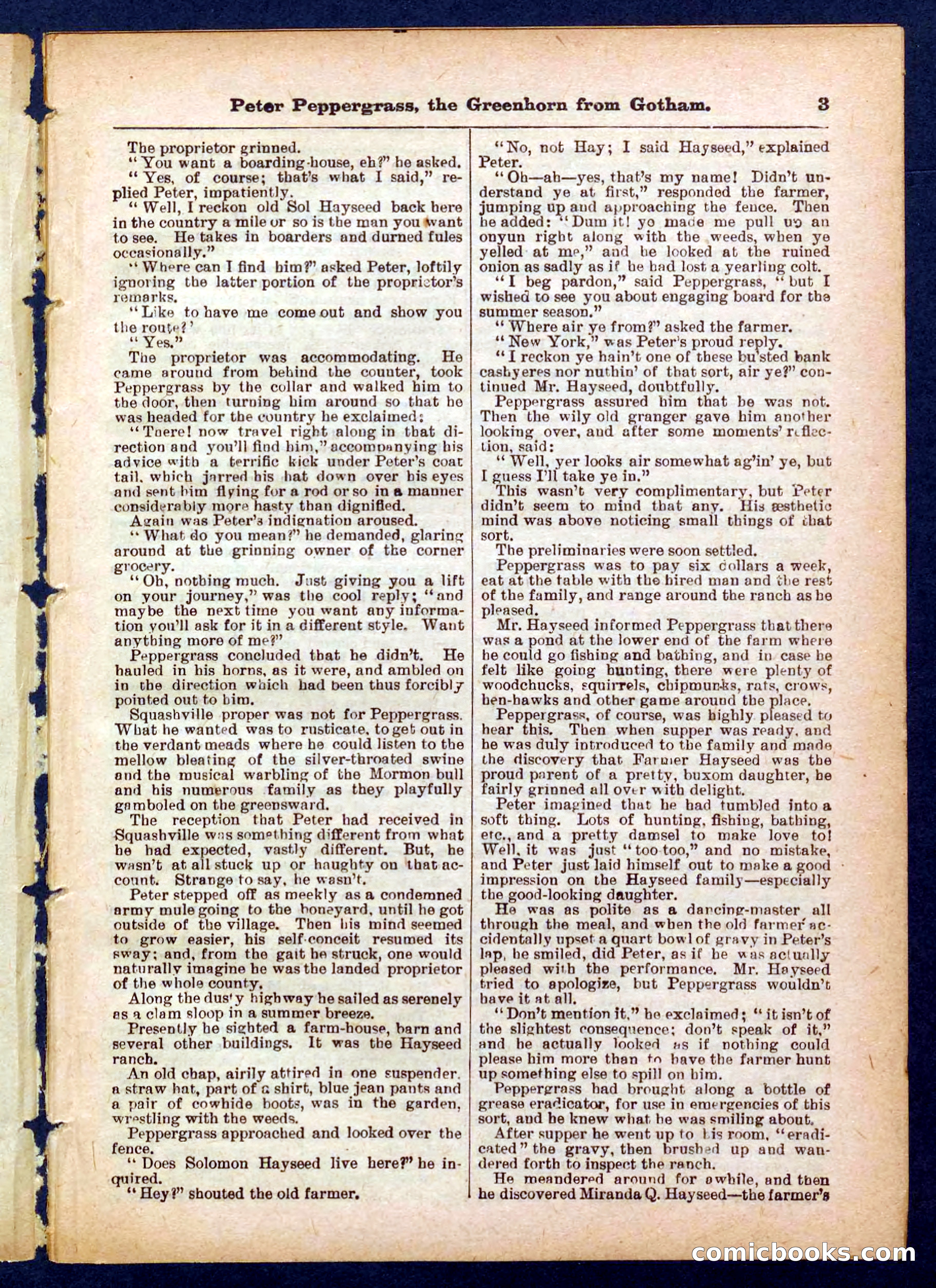 Peter, the Dandy Greenhorn — page 3 of 32