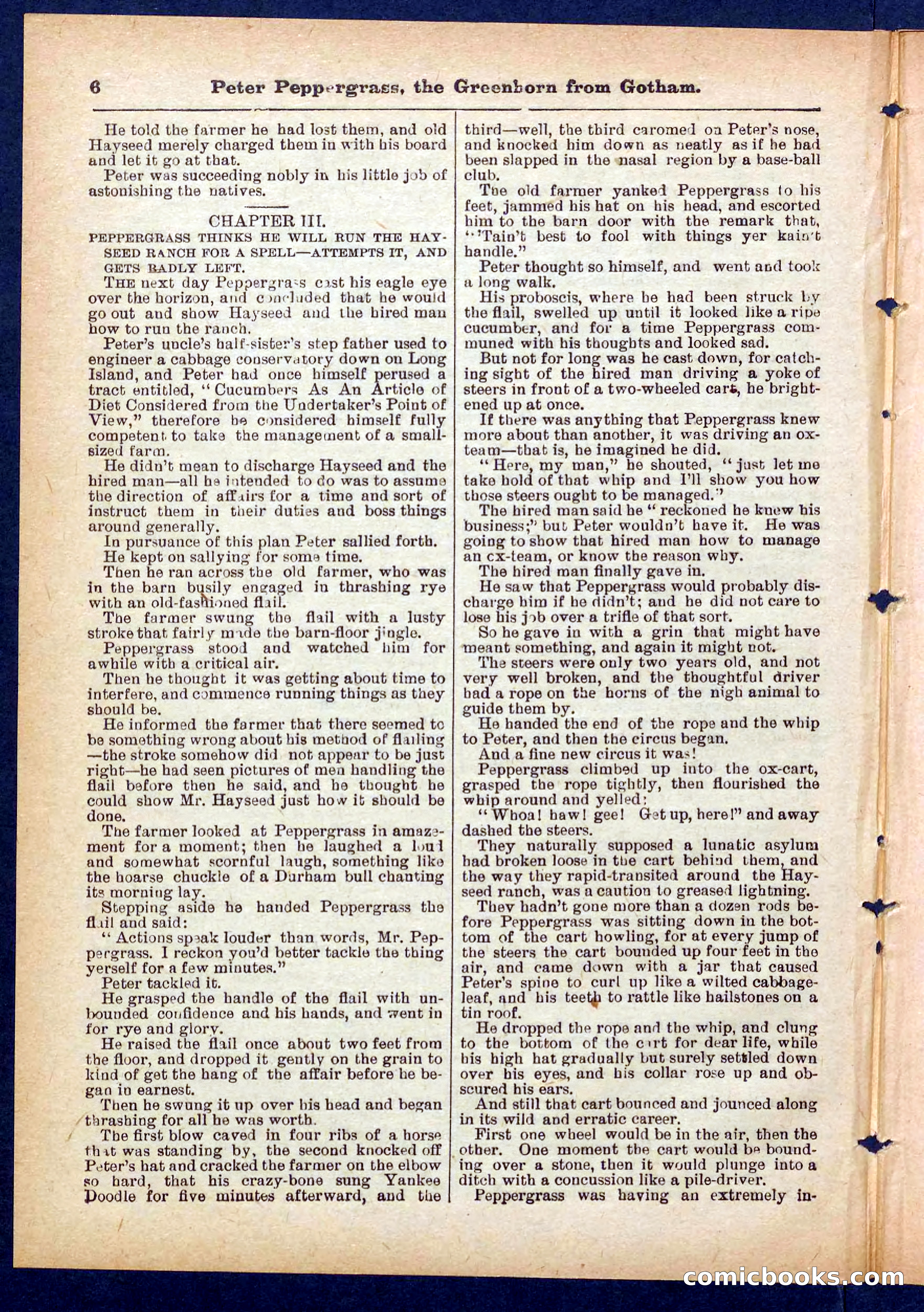 Peter, the Dandy Greenhorn — page 6 of 32