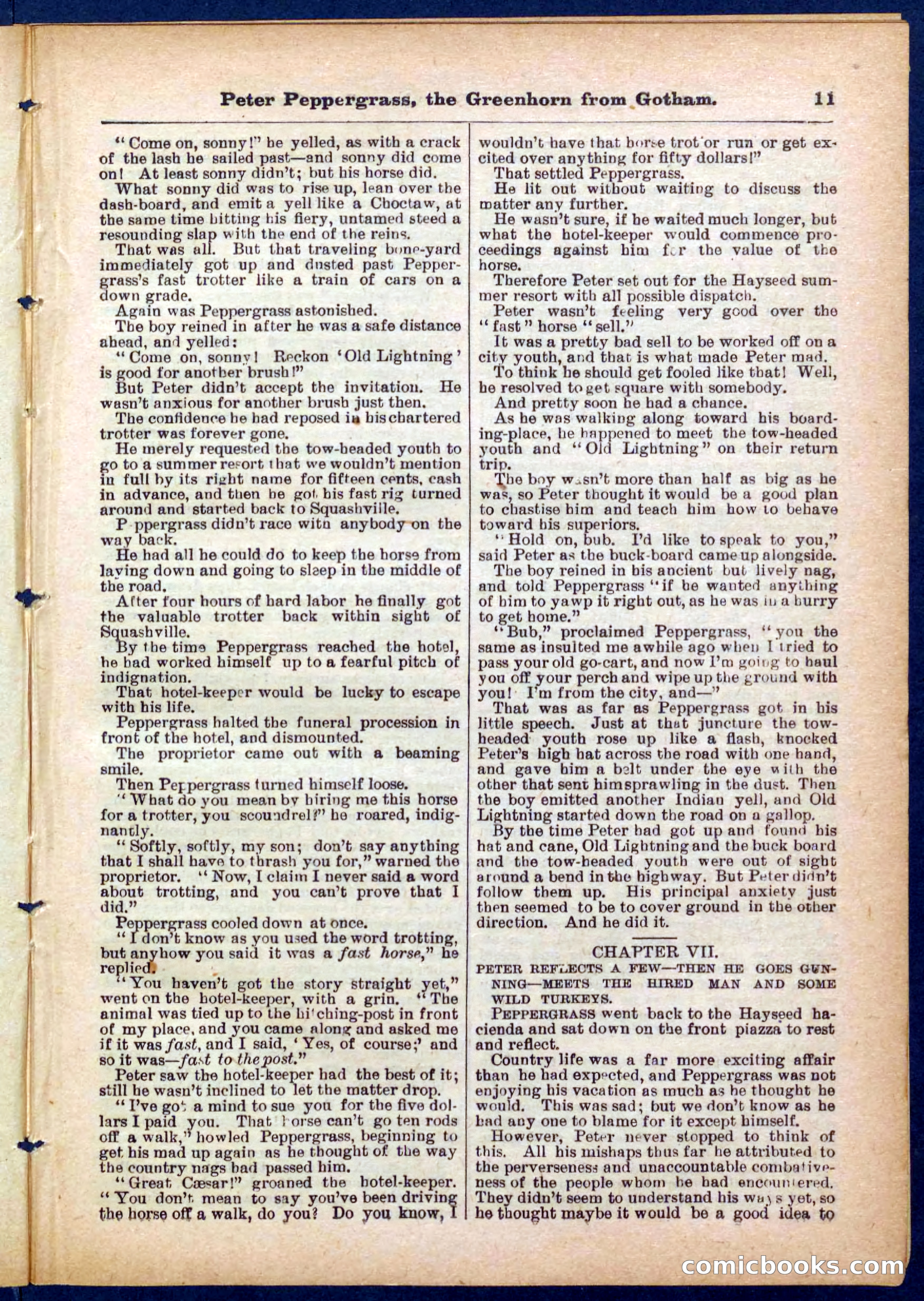 Peter, the Dandy Greenhorn — page 11 of 32