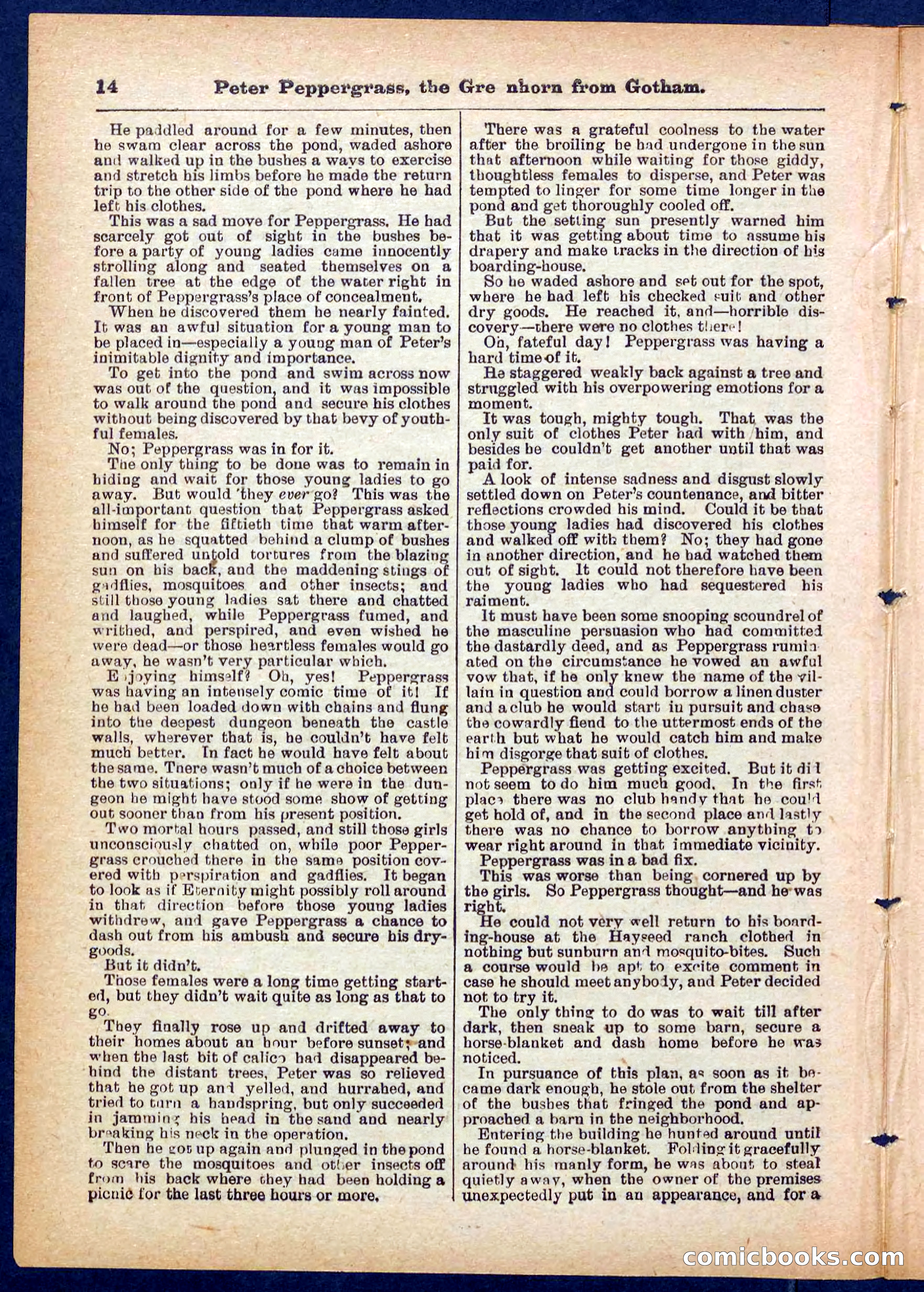 Peter, the Dandy Greenhorn — page 14 of 32