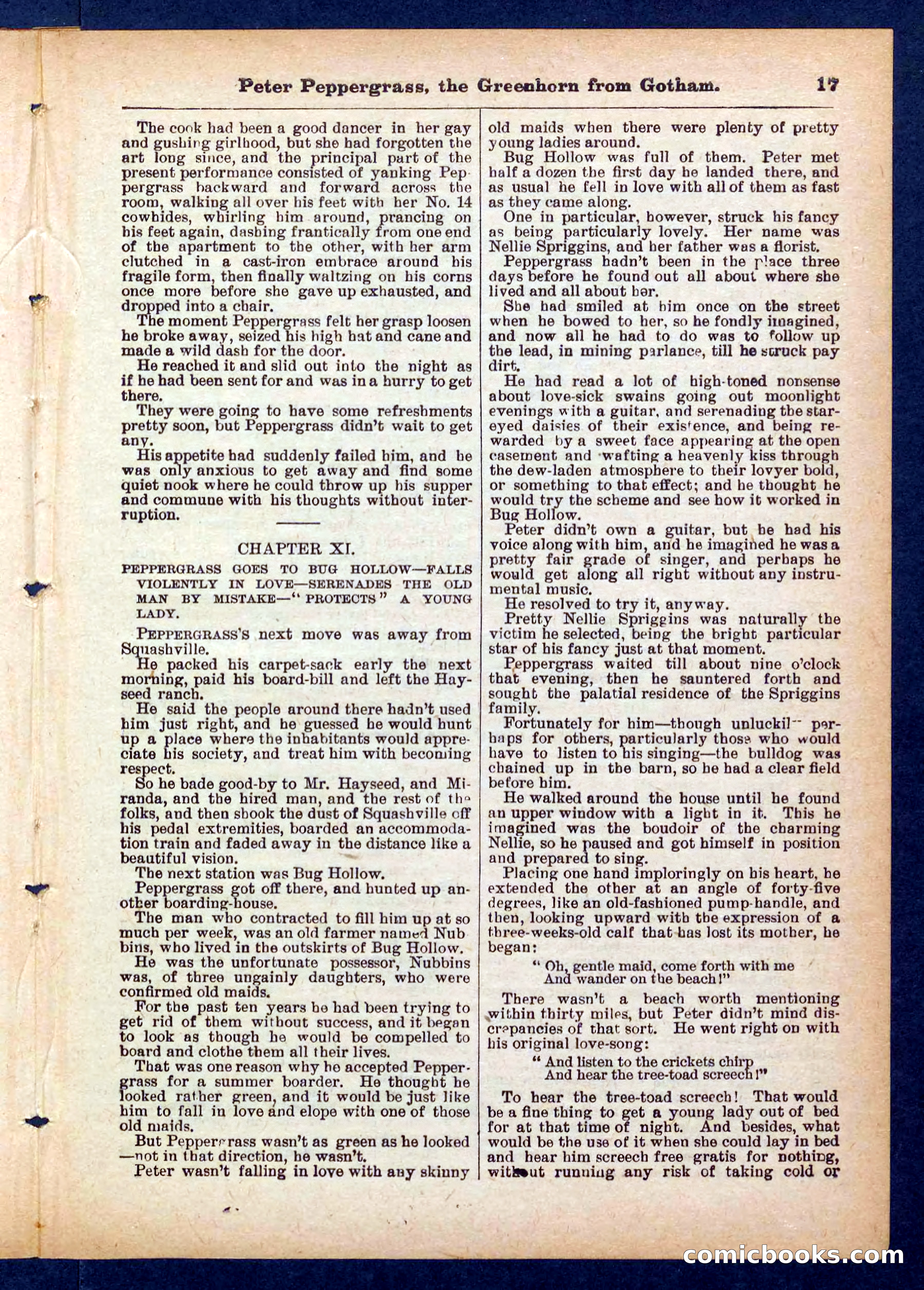 Peter, the Dandy Greenhorn — page 17 of 32