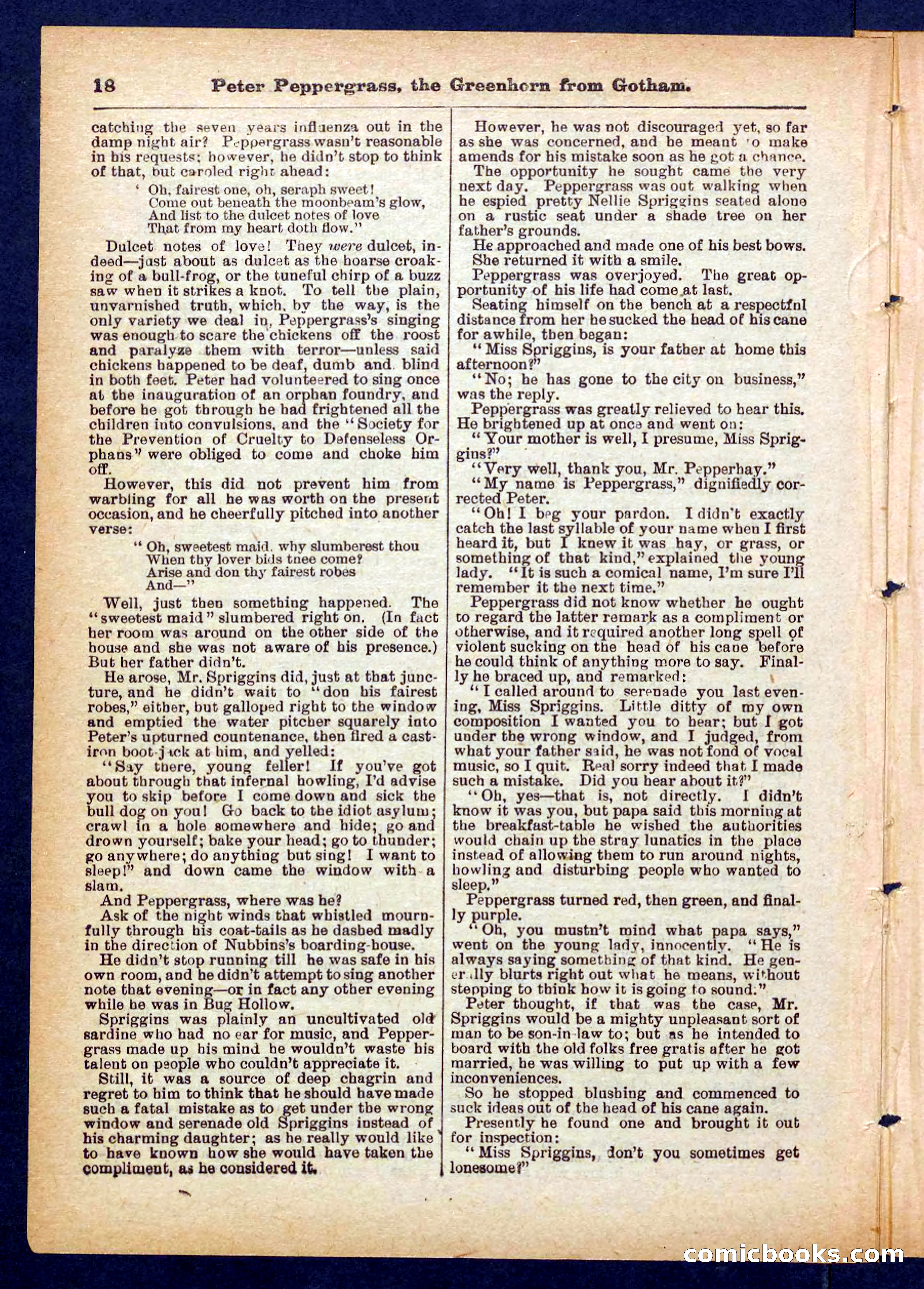 Peter, the Dandy Greenhorn — page 18 of 32