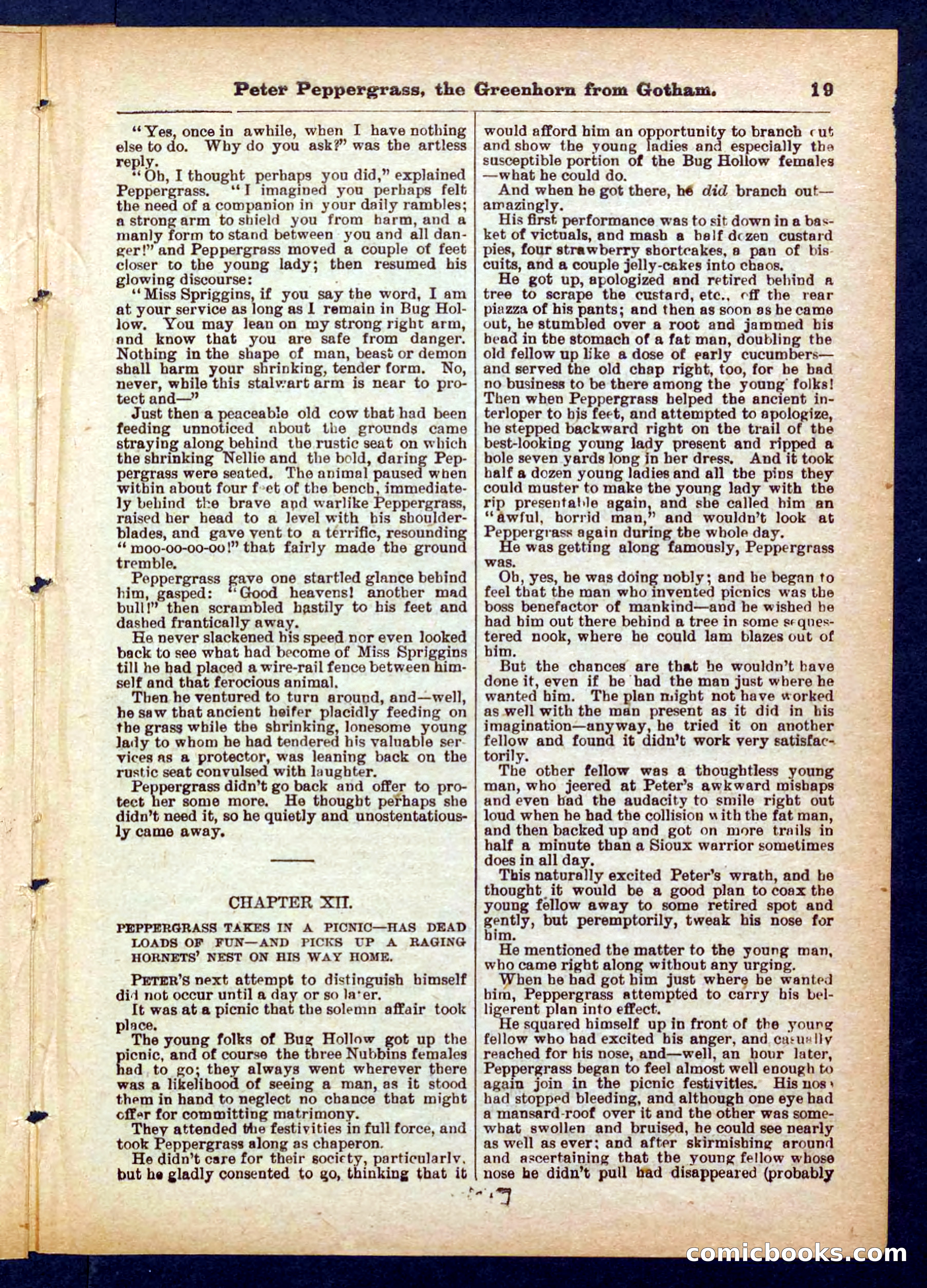 Peter, the Dandy Greenhorn — page 19 of 32