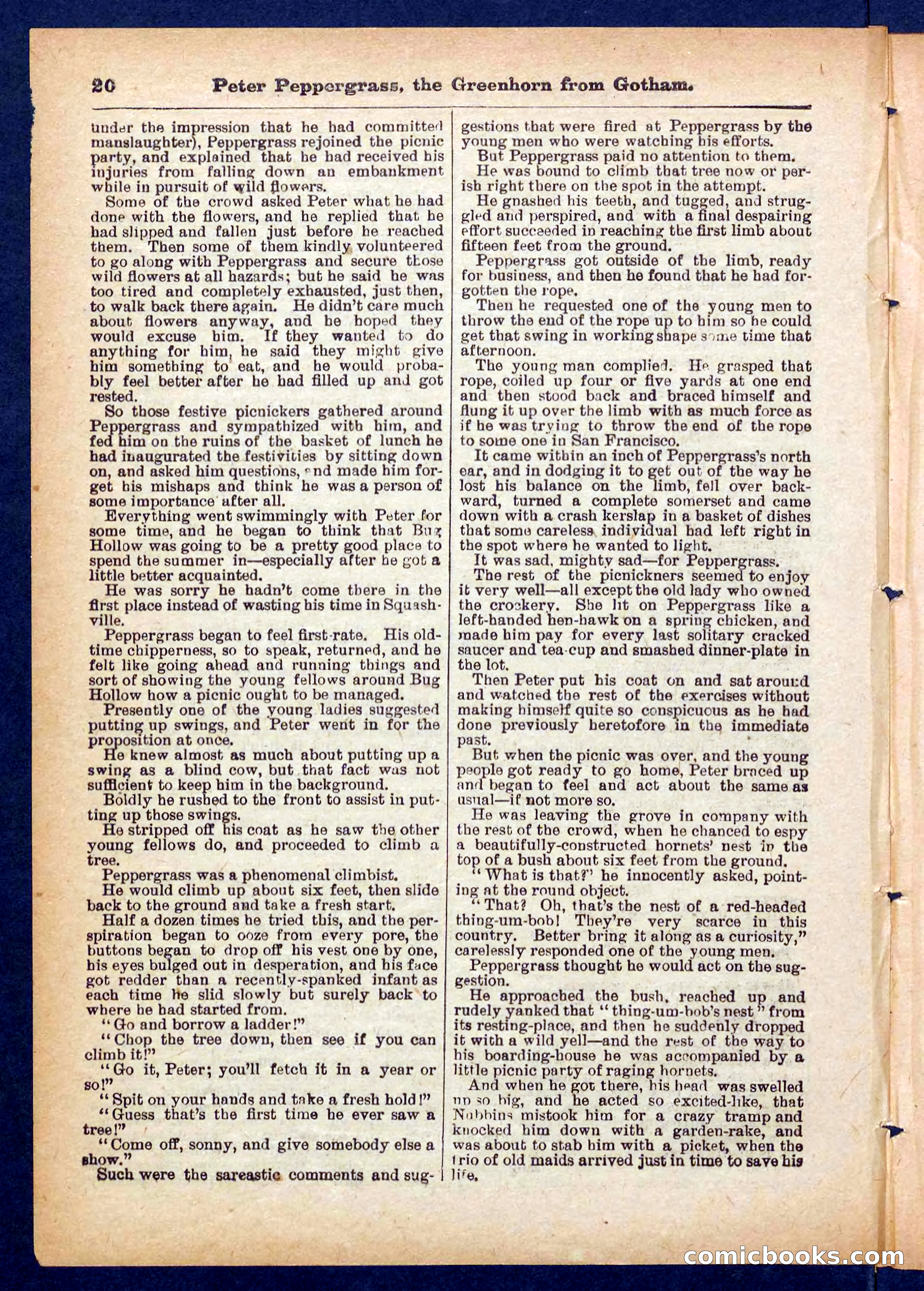 Peter, the Dandy Greenhorn — page 20 of 32