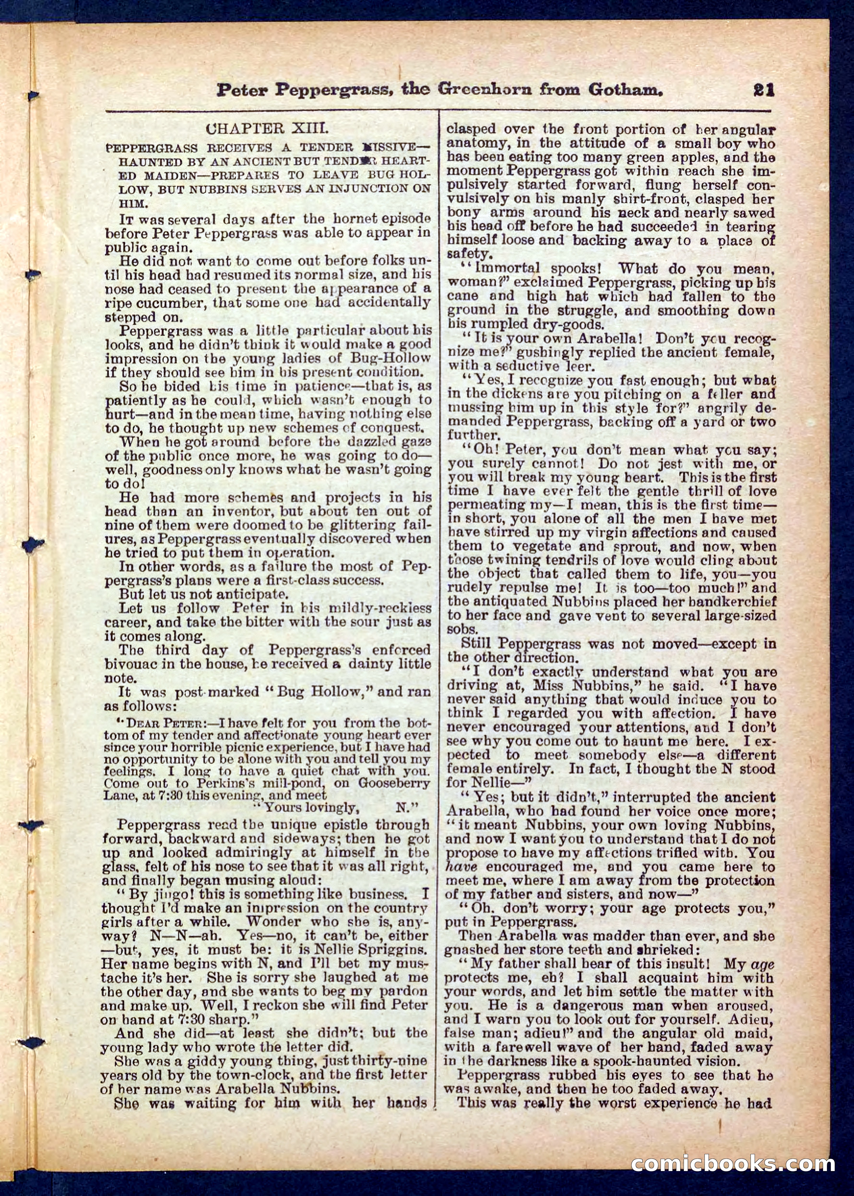 Peter, the Dandy Greenhorn — page 21 of 32
