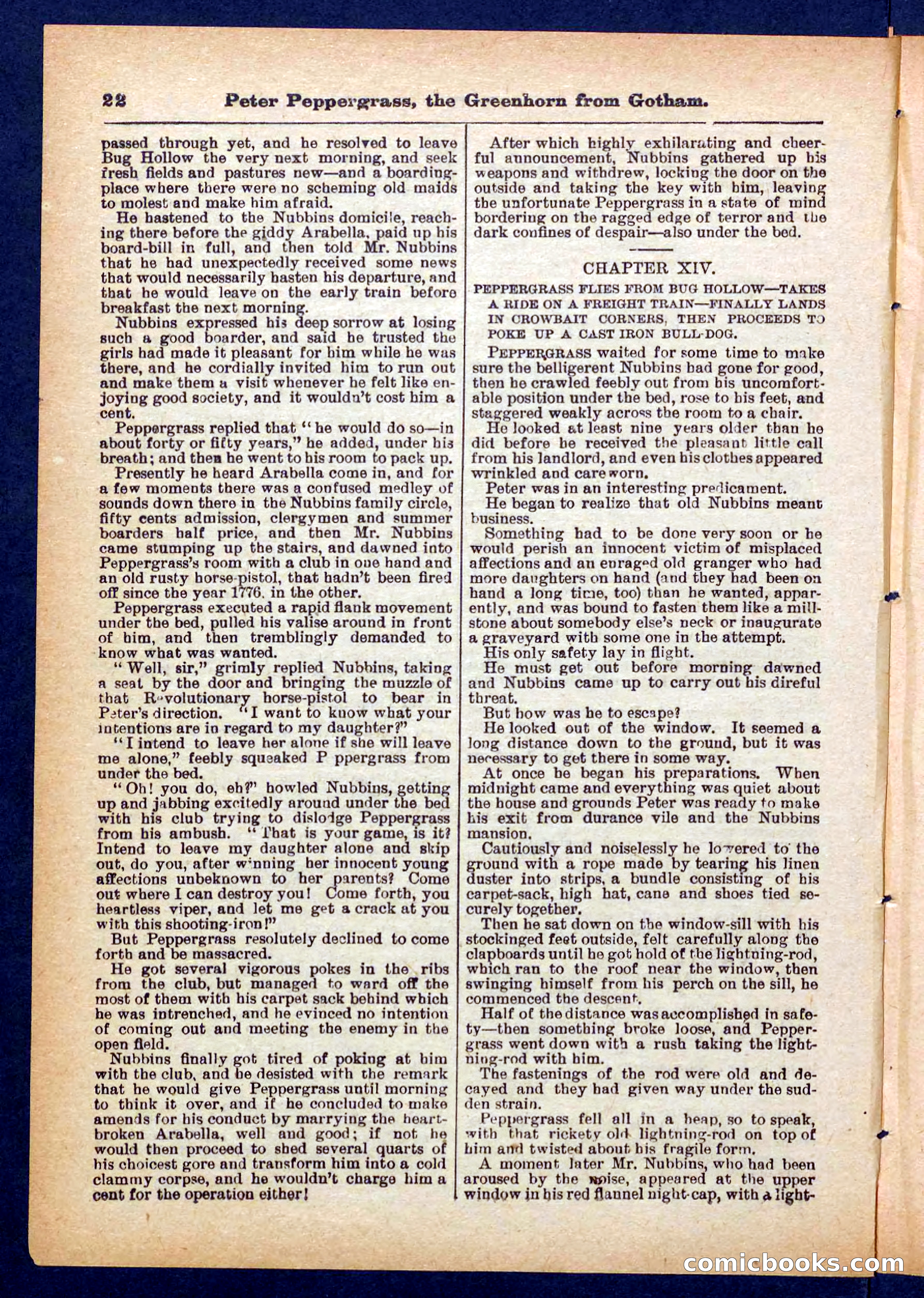 Peter, the Dandy Greenhorn — page 22 of 32