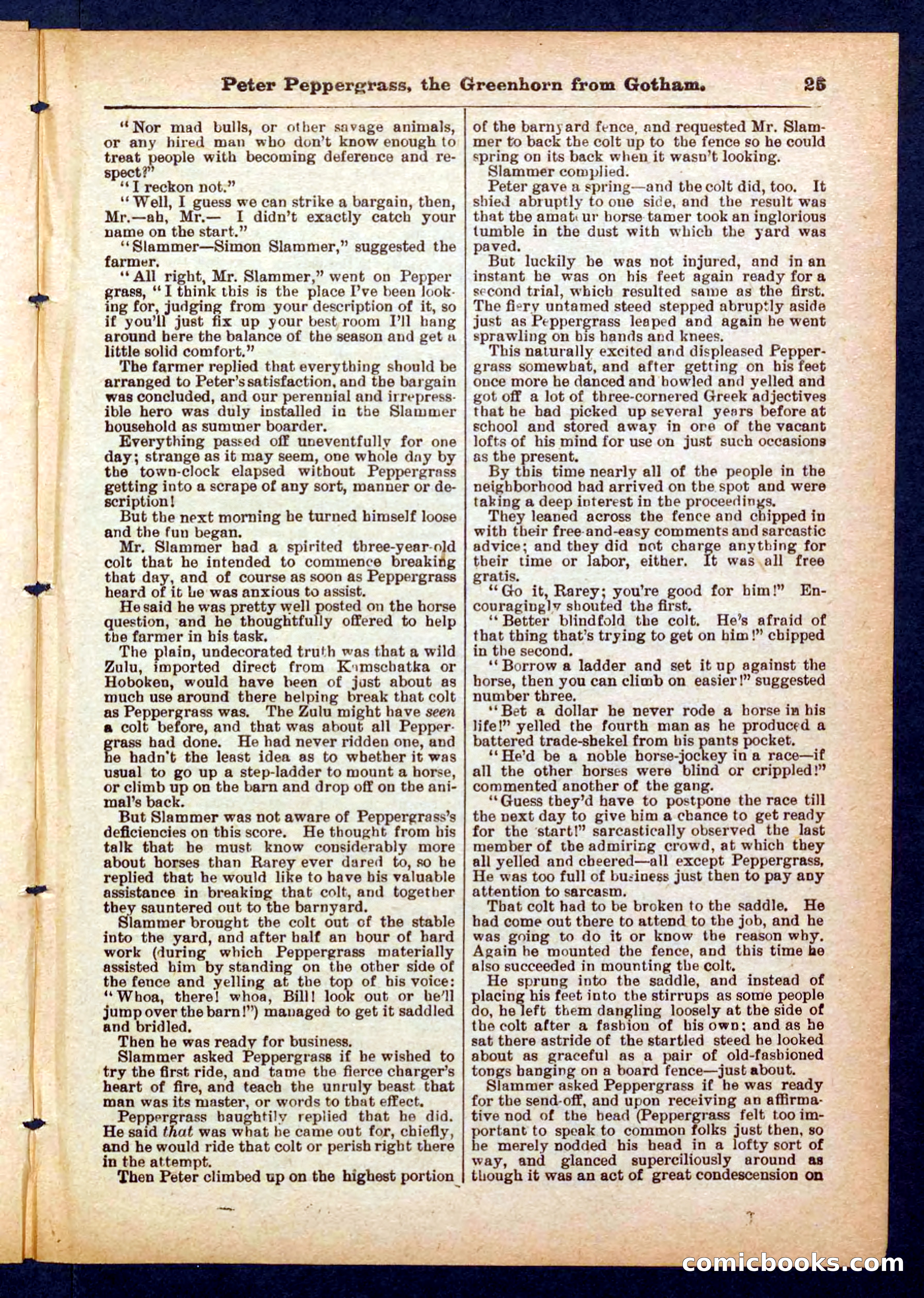Peter, the Dandy Greenhorn — page 25 of 32