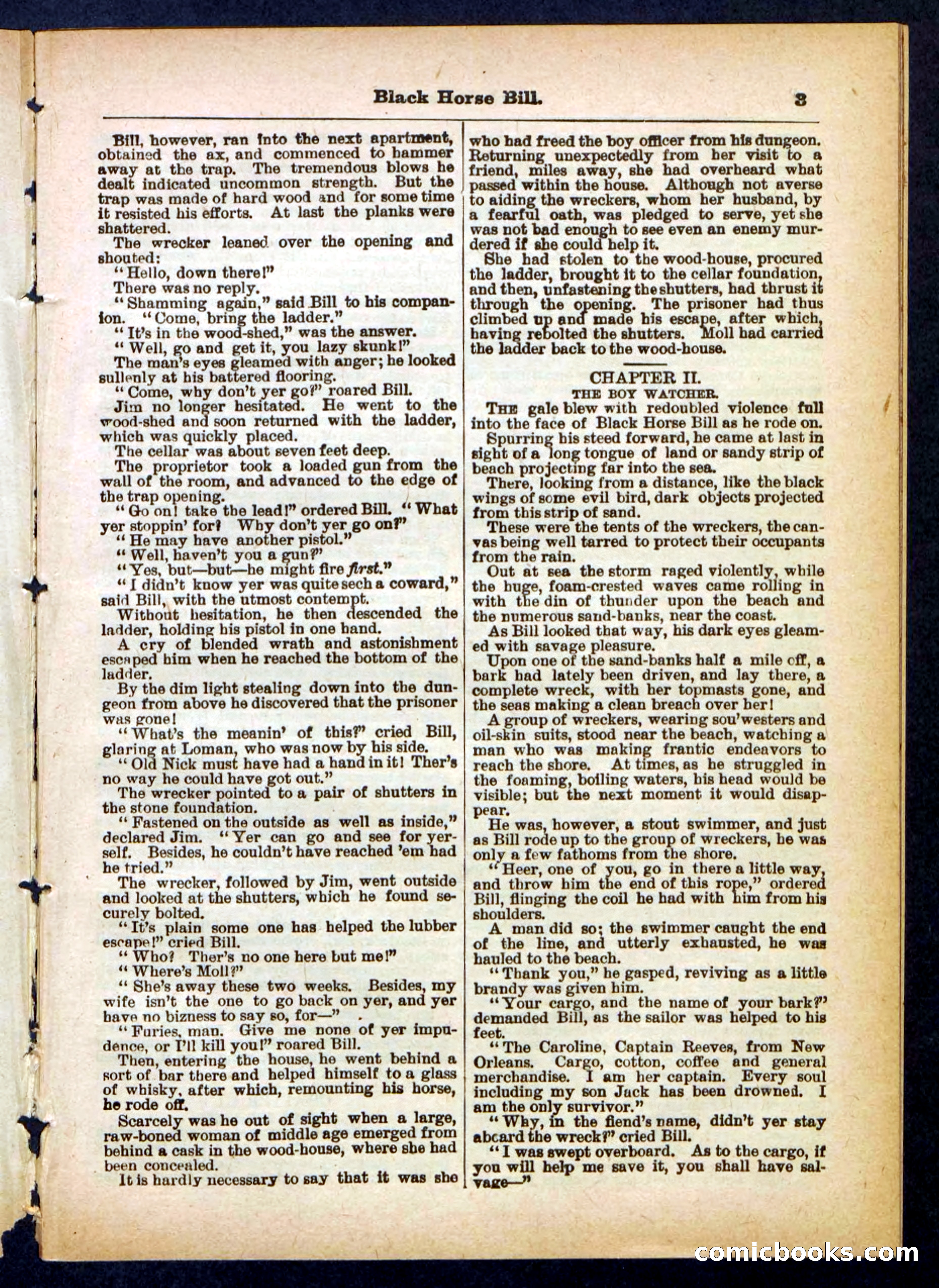 Black Horse Bill, the Bandit Wrecker — page 3 of 32