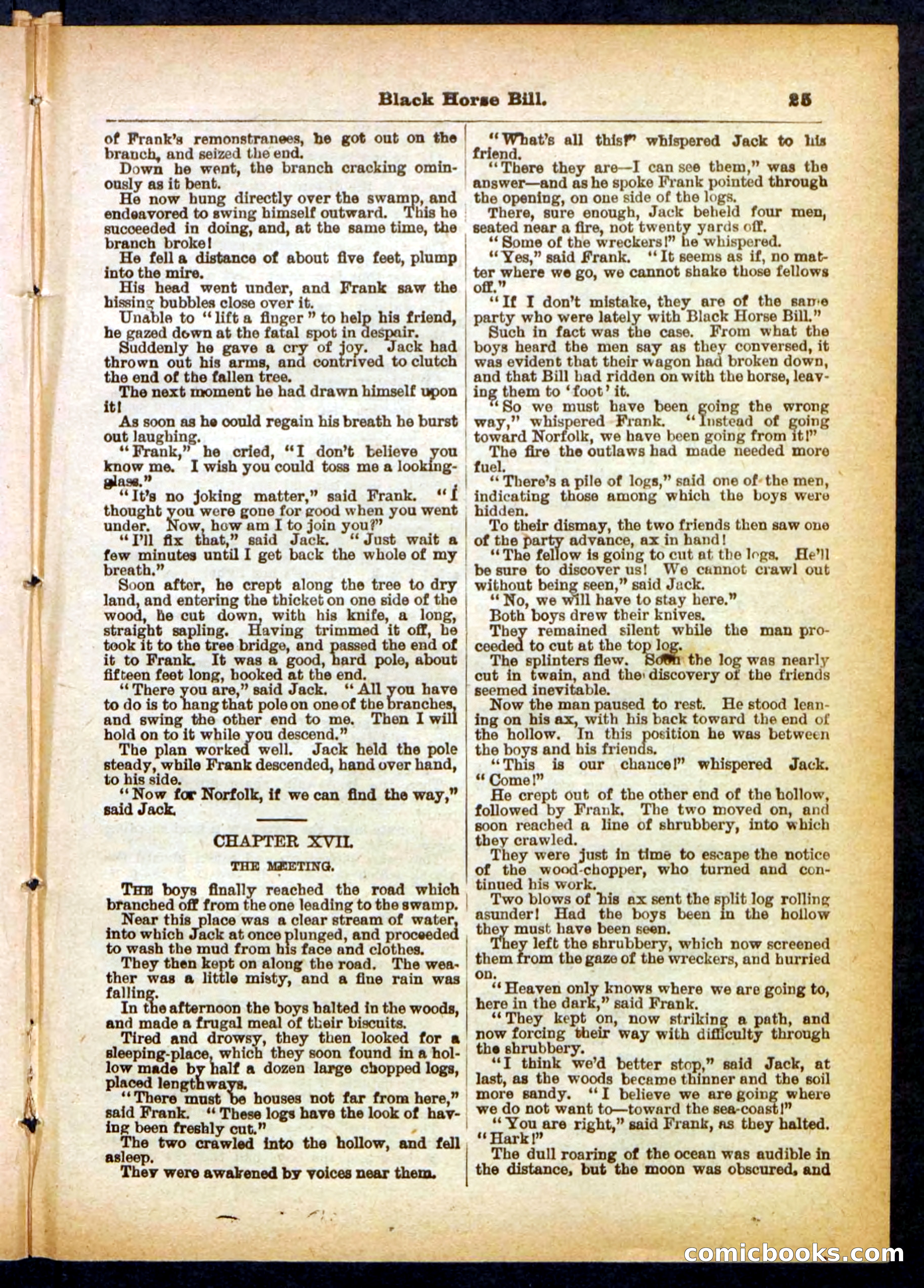 Black Horse Bill, the Bandit Wrecker — page 25 of 32