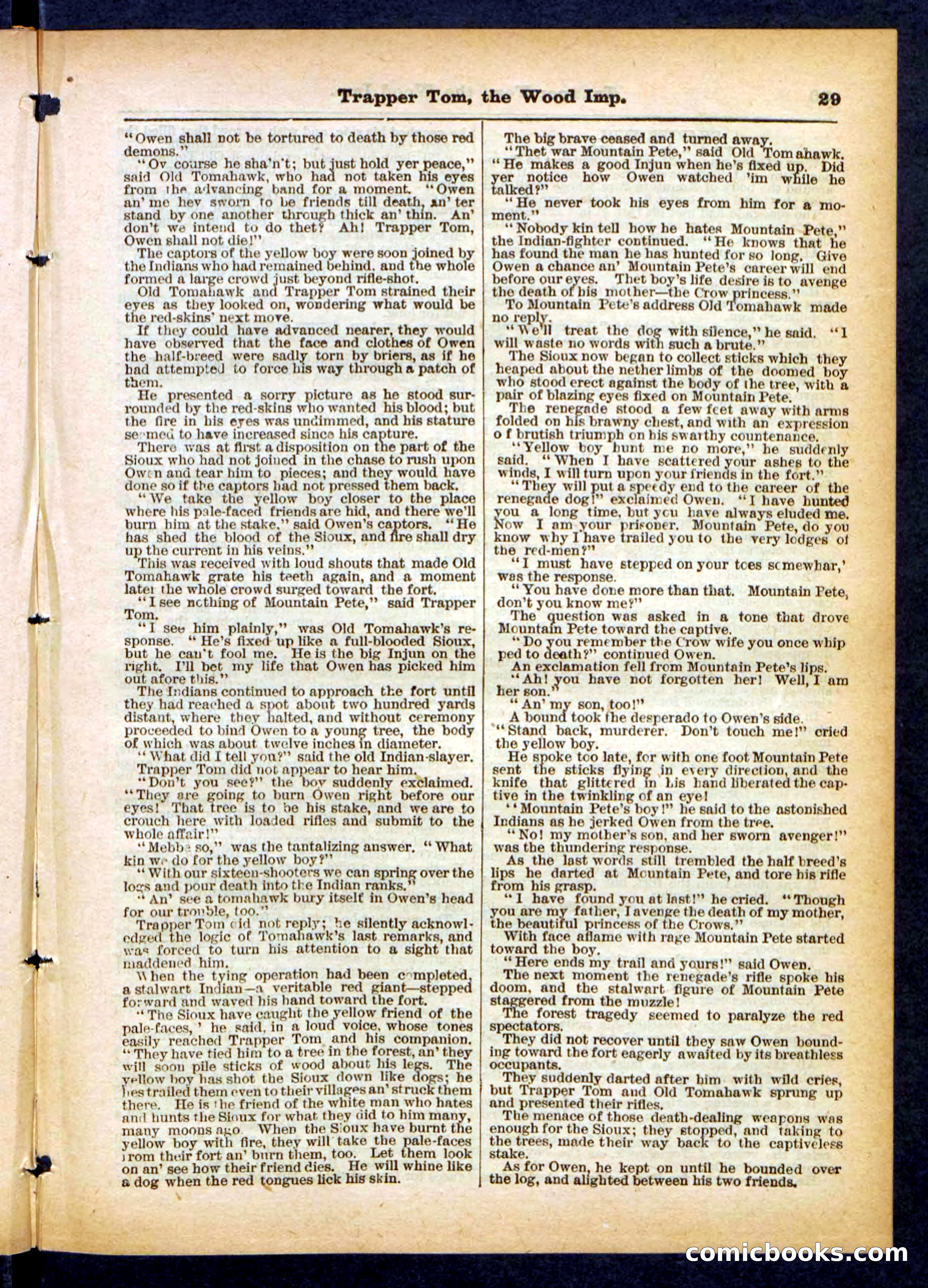 Giant Pete and His Pards — page 29 of 32
