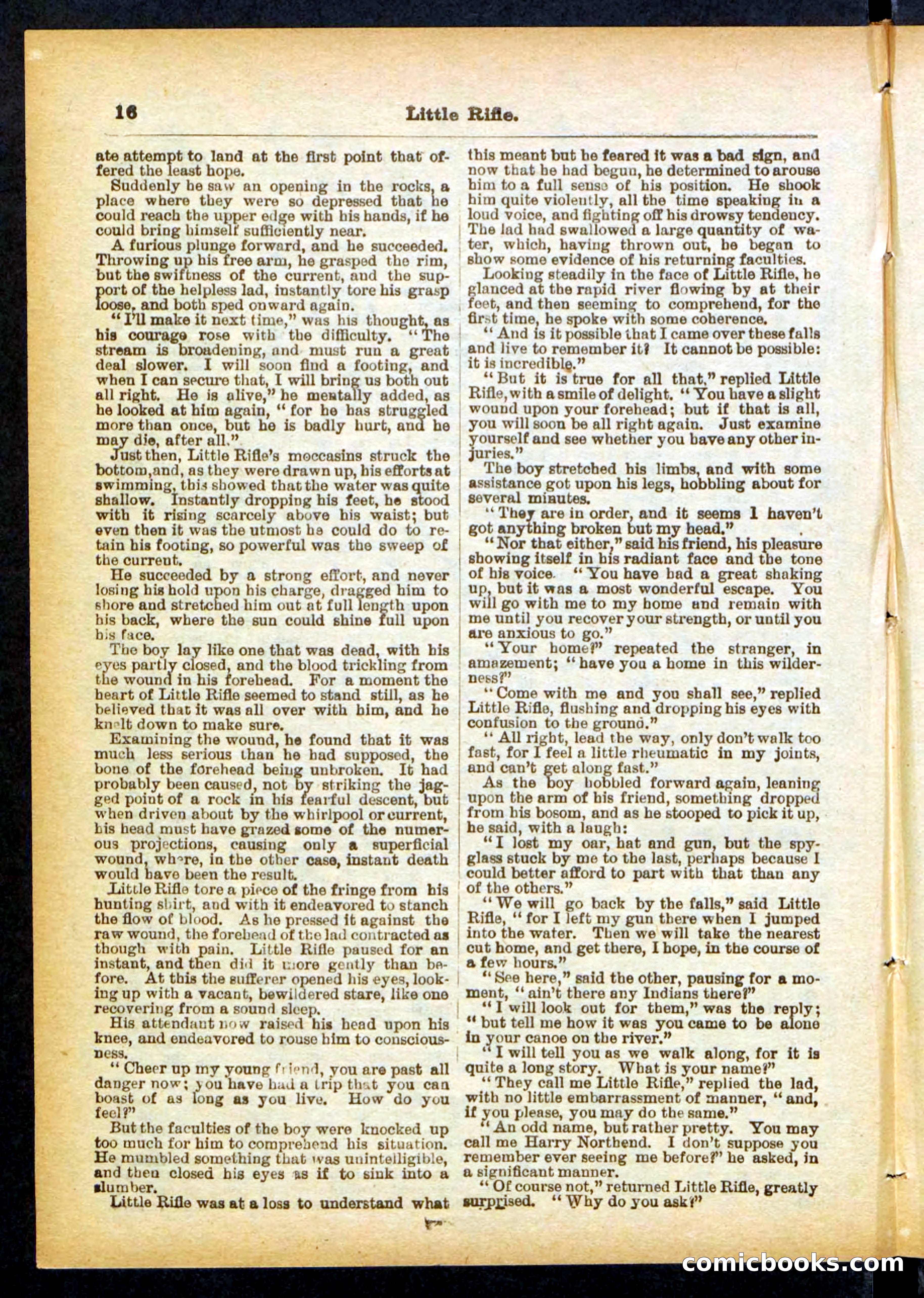 Old Ruff's Protégé; or, Little Rifle's Secret — page 16 of 32